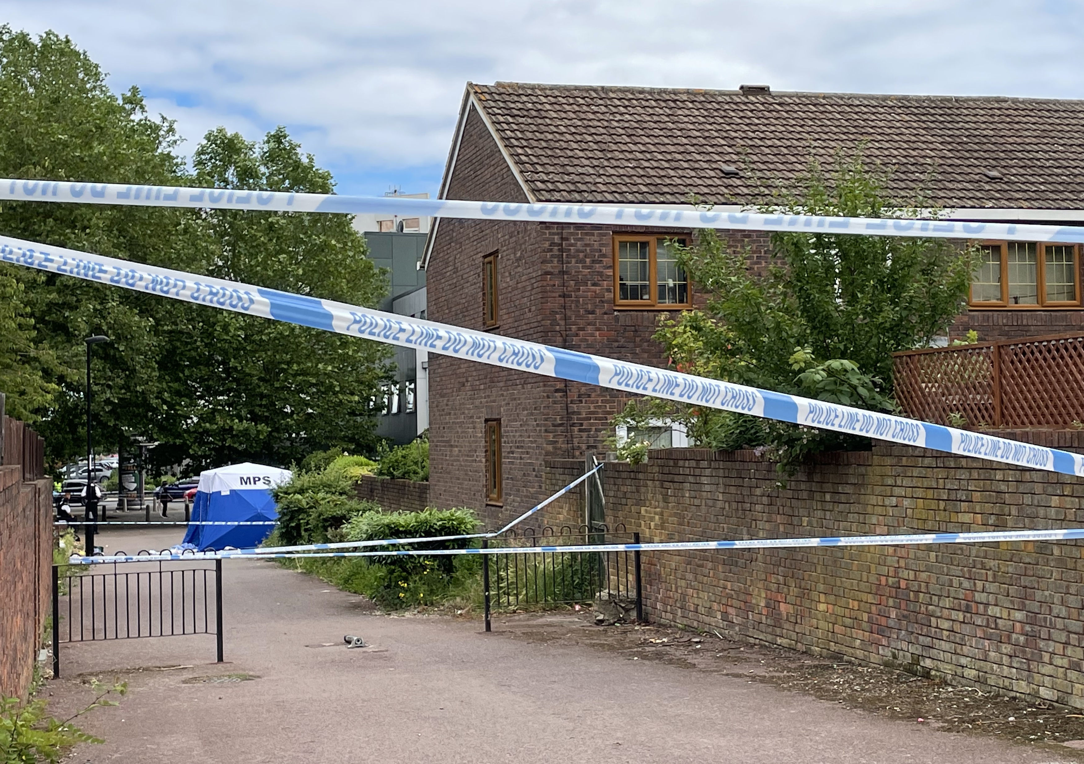 Sydenham stabbing
