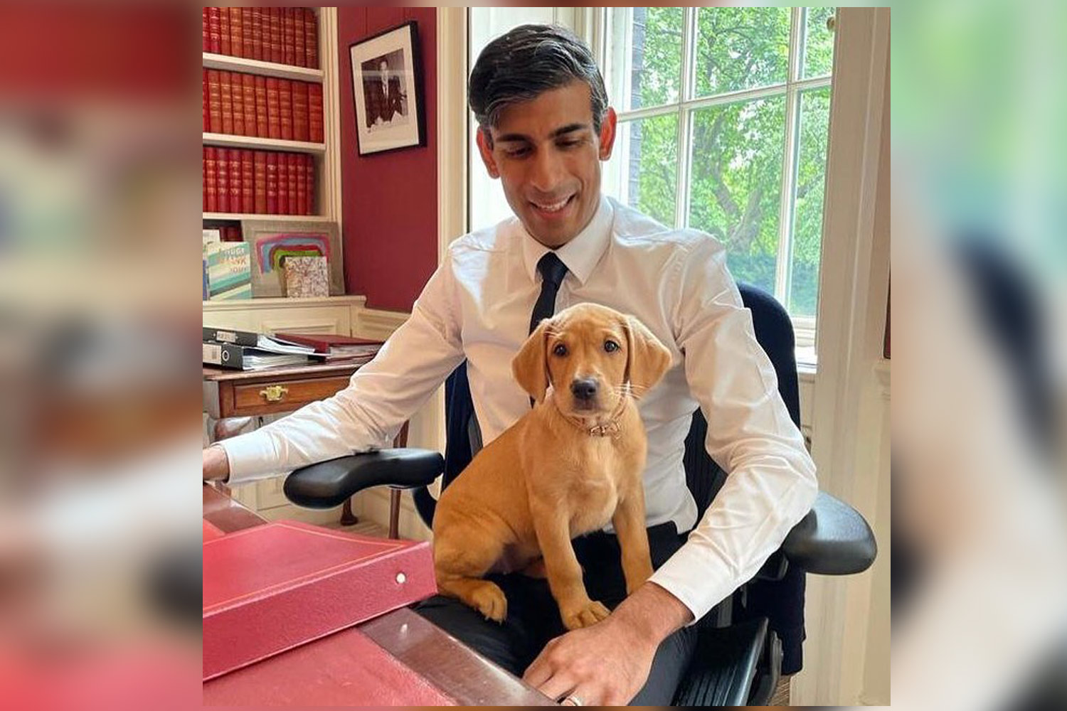 New top dog in Downing Street: Rishi Sunak welcomes puppy into No.11