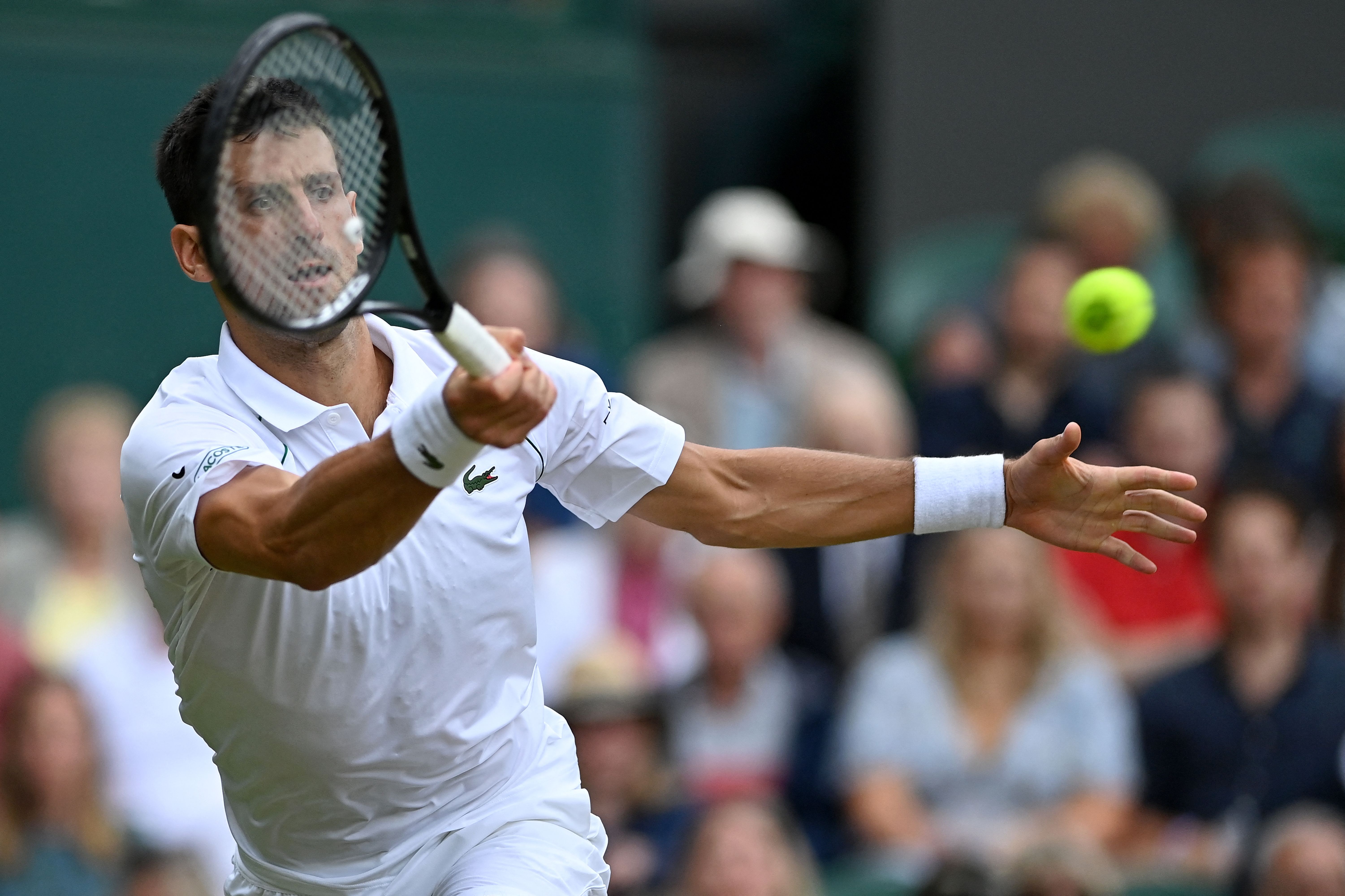 Novak Djokovic and Roger Federer ease into Wimbledon quarter-finals with straight-sets wins