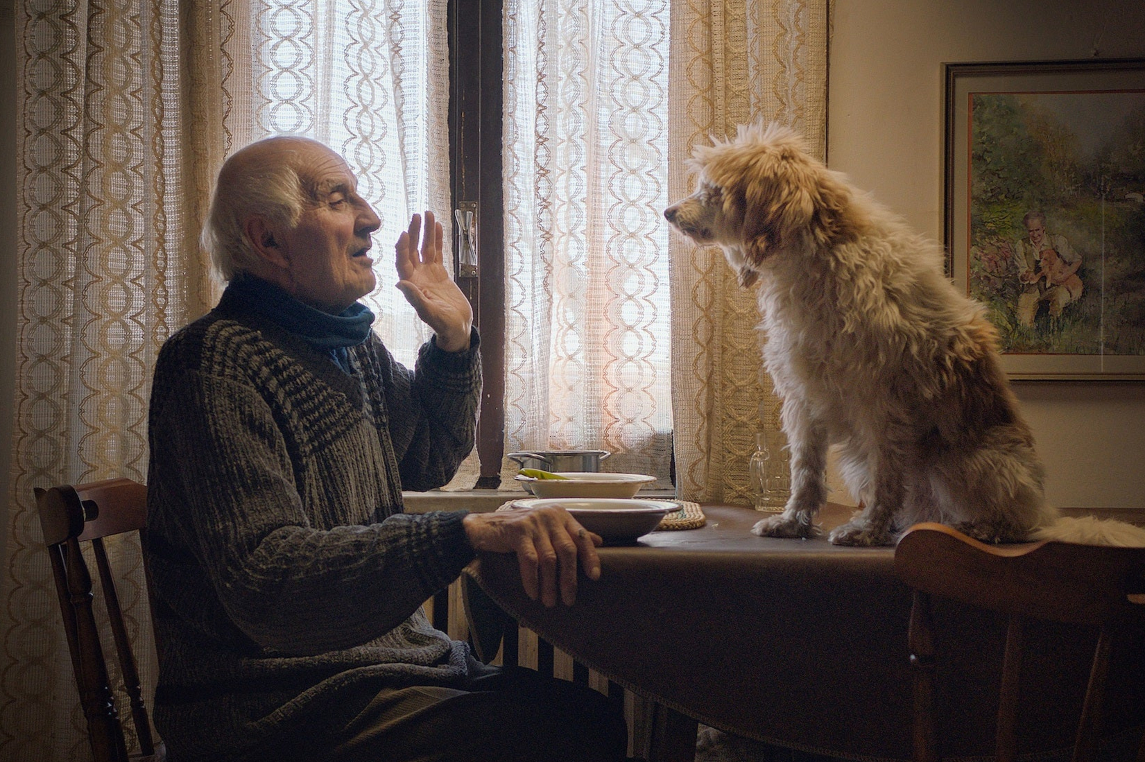 The Truffle Hunters review: Humour laced with darkness in a fungi-filled documentary