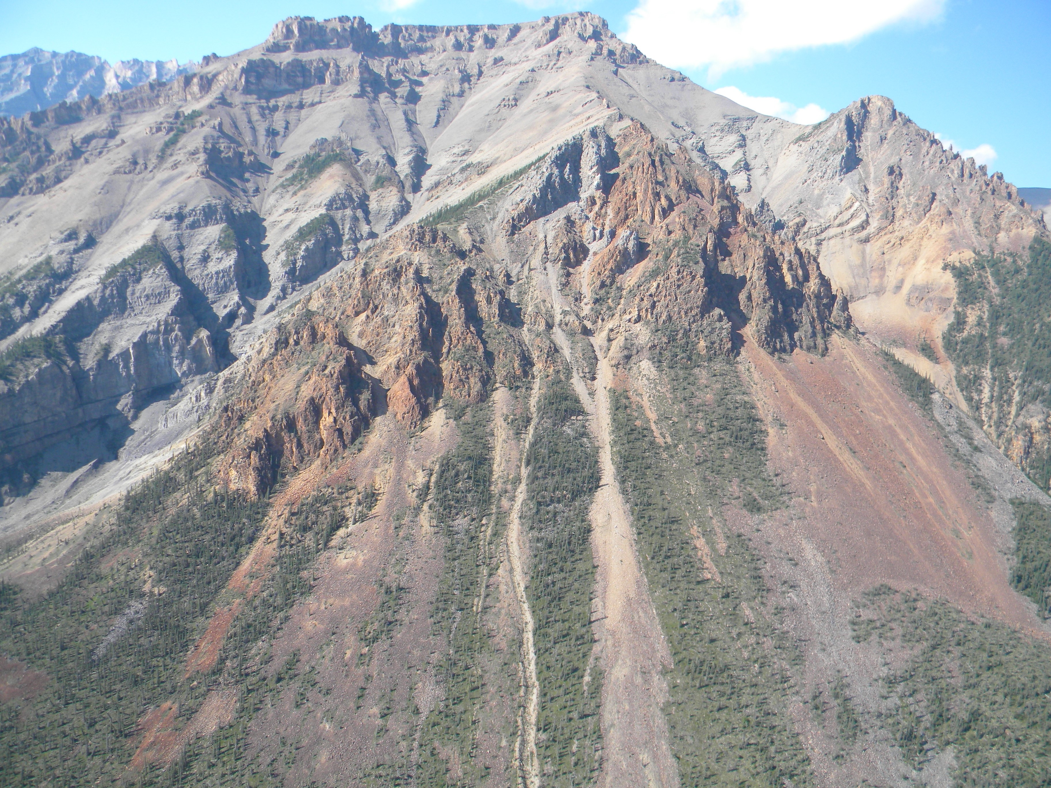 ‘890m-year-old sponge fossils’ could be earliest animal life