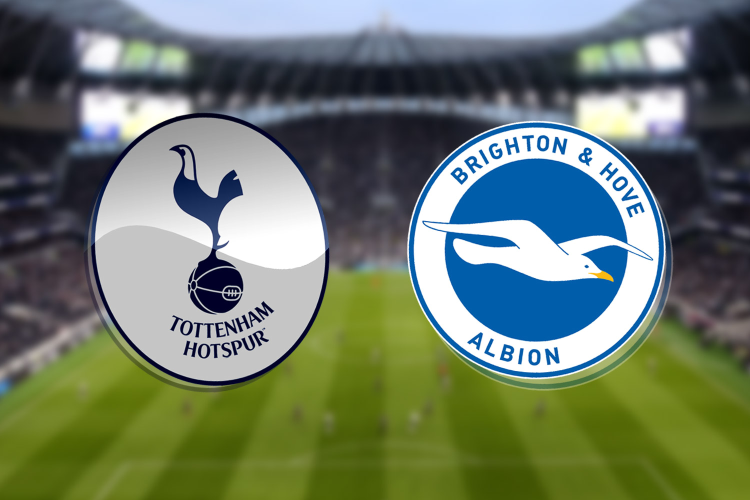 Tottenham vs Brighton: Prediction, kick off time, TV, live stream, team news, h2h results 