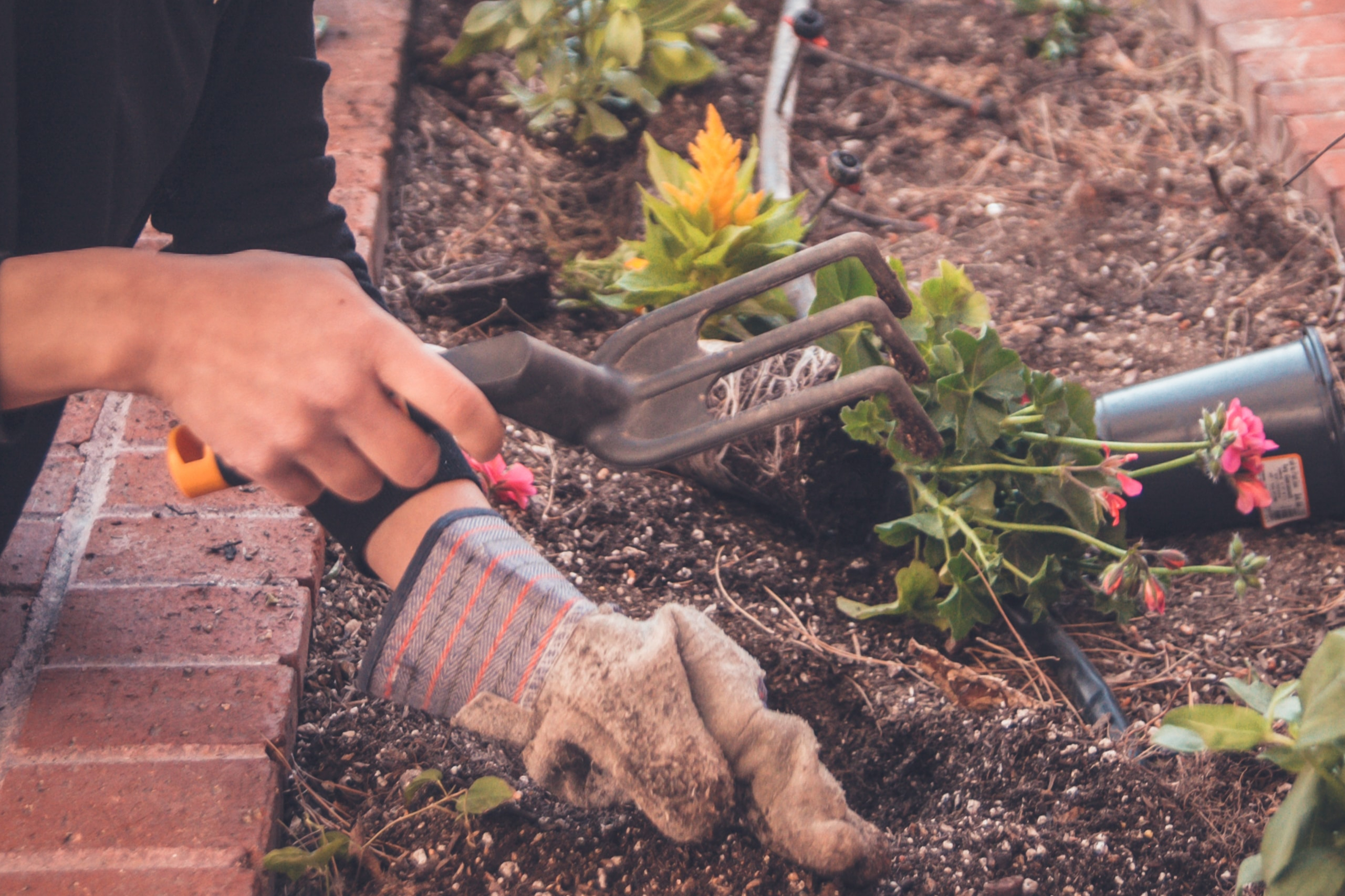 Best gardening tools that every gardener needs, from forks to secateurs