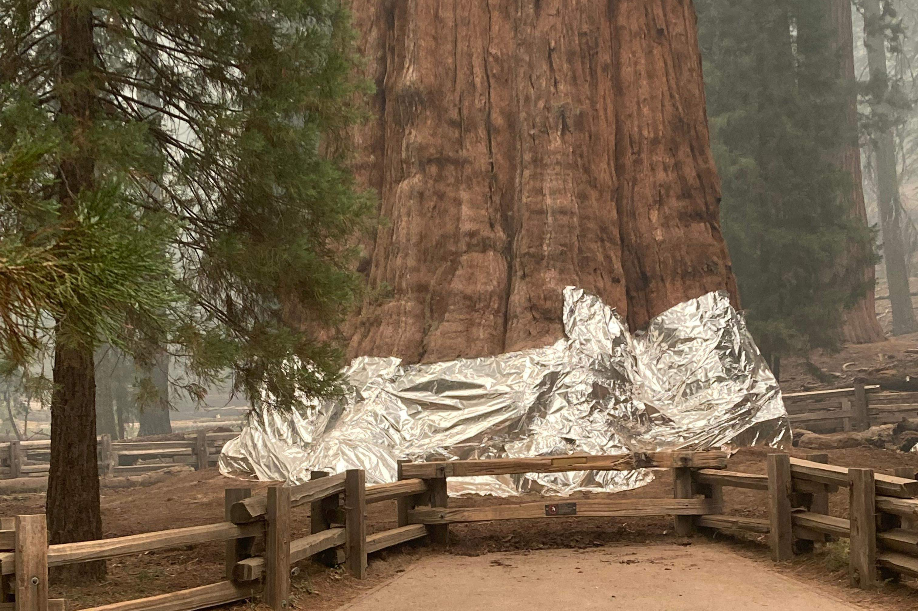 US-CLIMATE-FIRE-CALIFORNIA-SEQUOIA