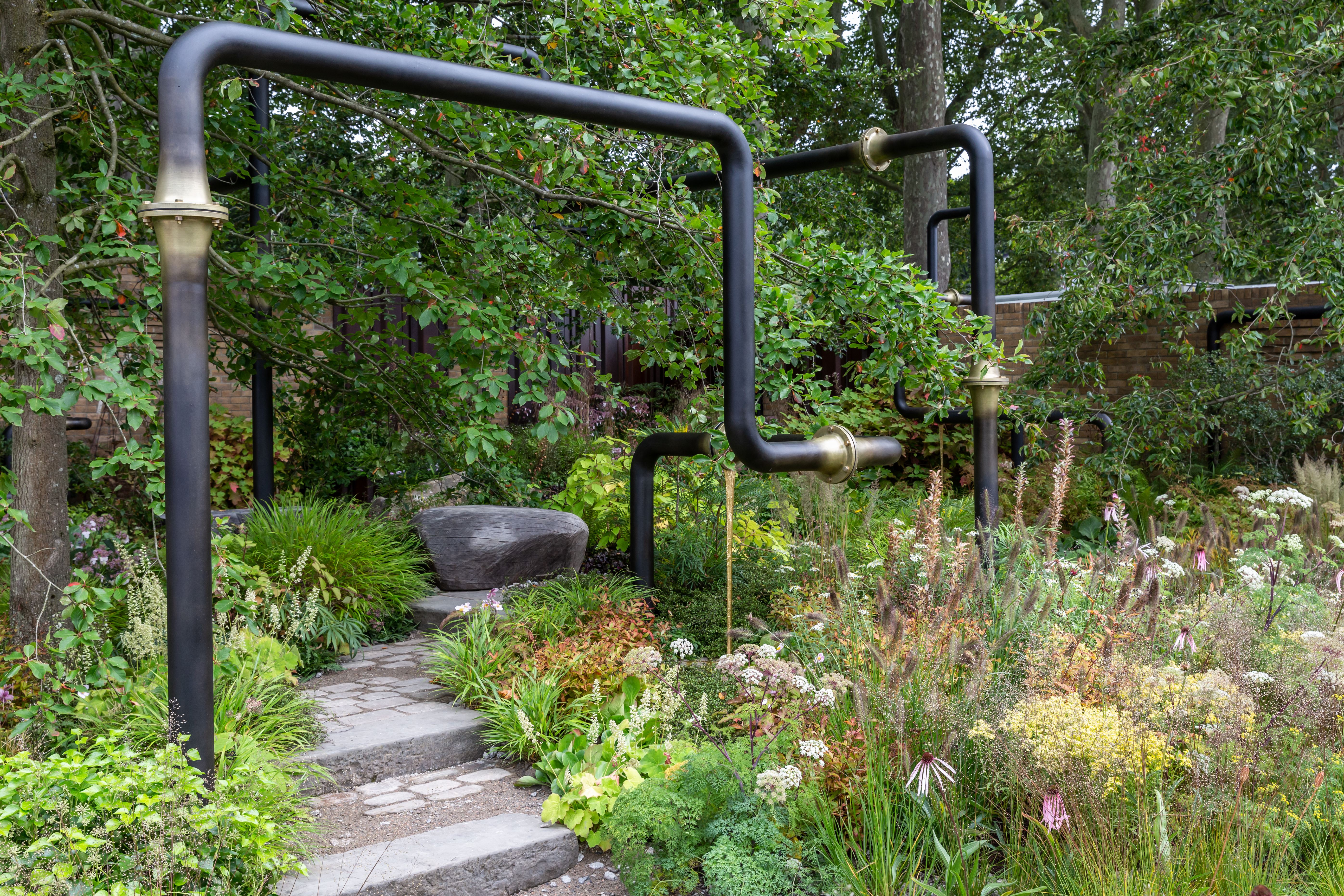 Chelsea Flower Show gold medalist on area he dubs ‘Peckham in pearls’