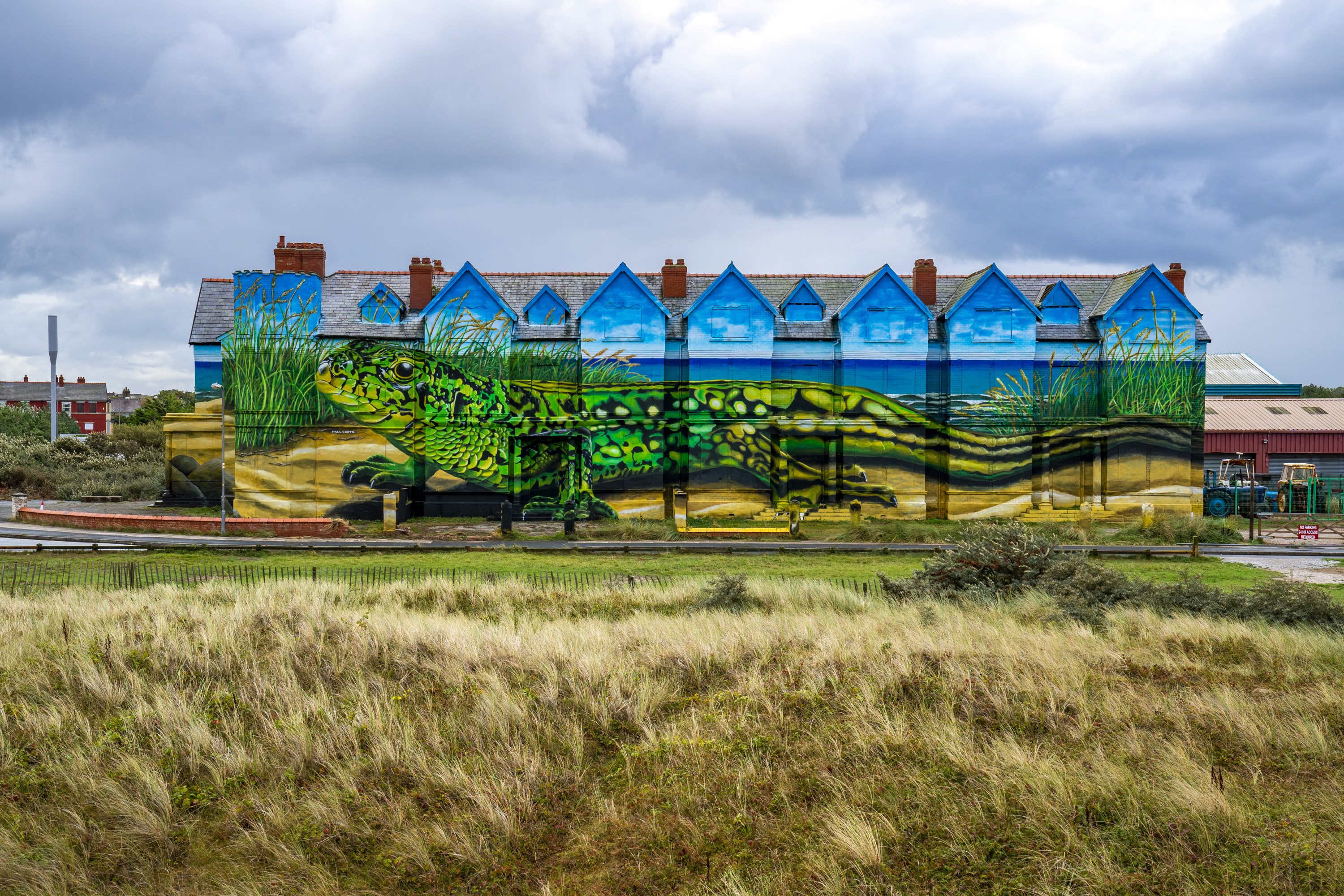 Boarded-up nightclub transformed into artwork with huge lizard mural