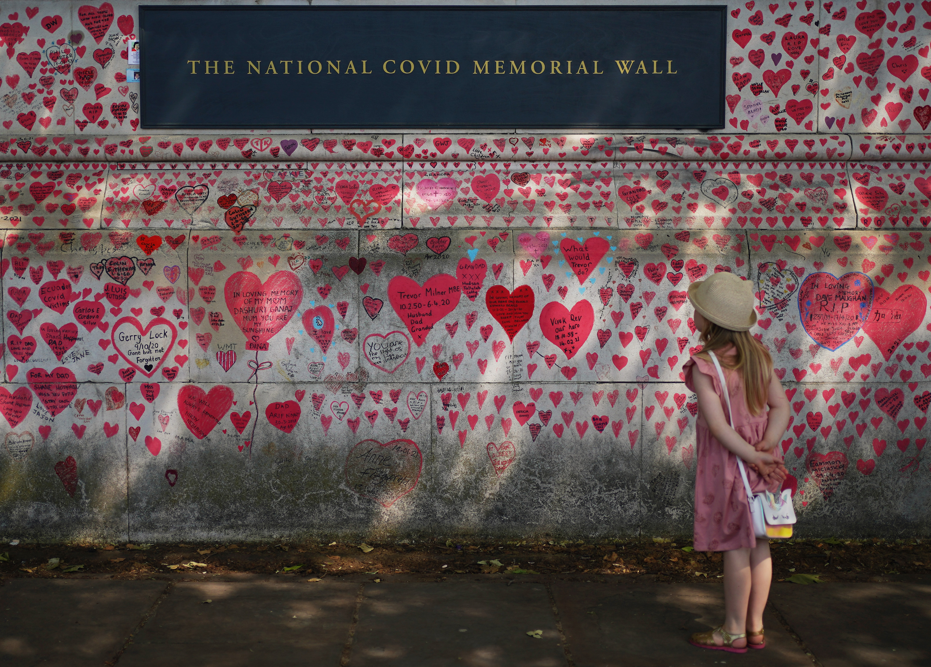 Minister refuses to apologise after damning report on Covid response