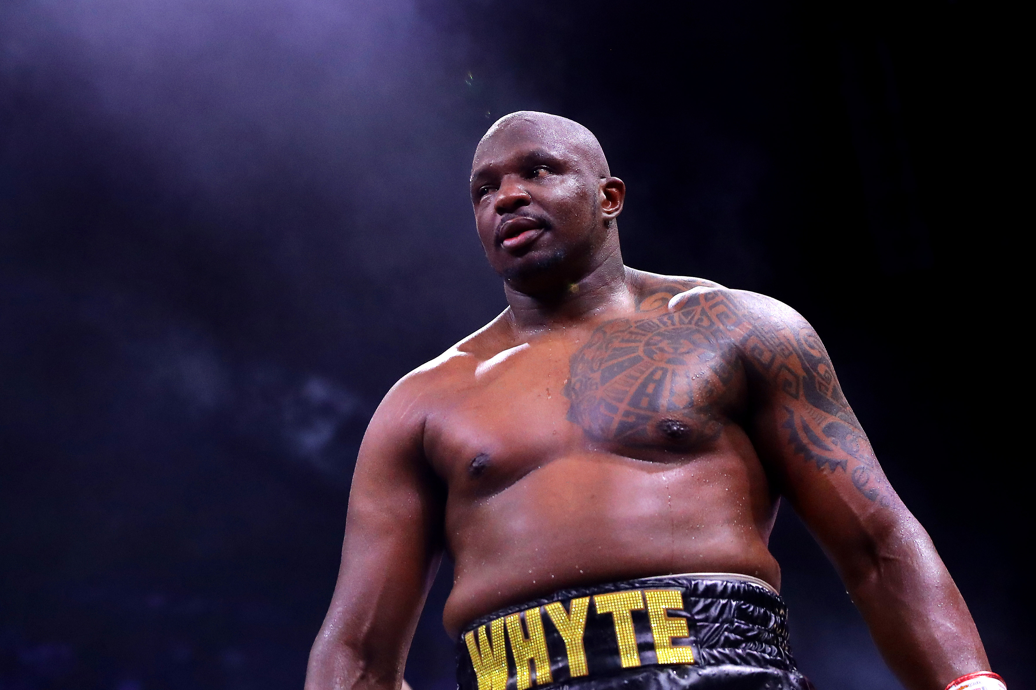 Dillian Whyte vows to ‘finish’ Tyson Fury and dismisses victories against ‘overrated’ Deontay Wilder