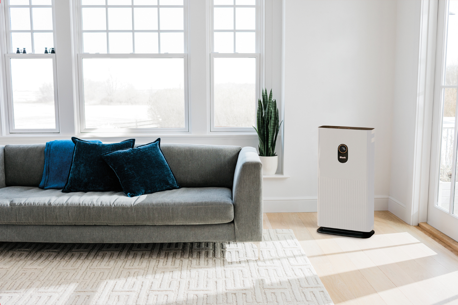 Best air purifiers to improve the air quality of your home