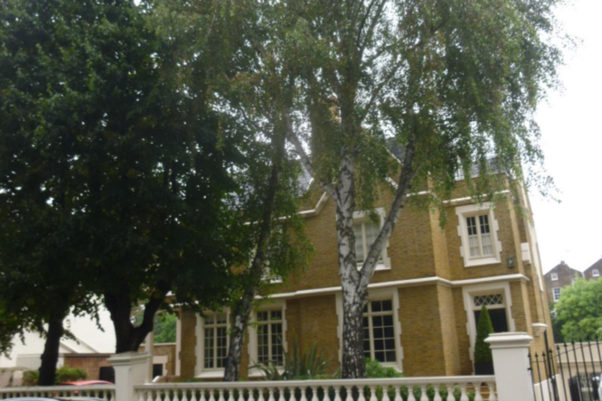 Barrister in battle to fell trees that cause son’s coughing fits