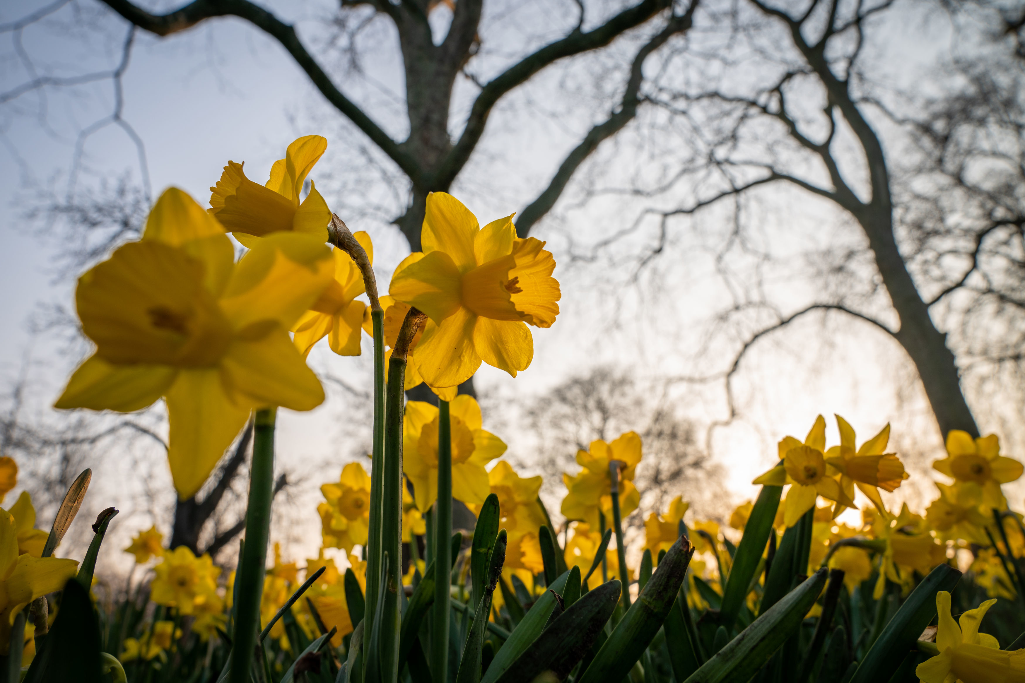 Spring weather Mar 23rd 2022