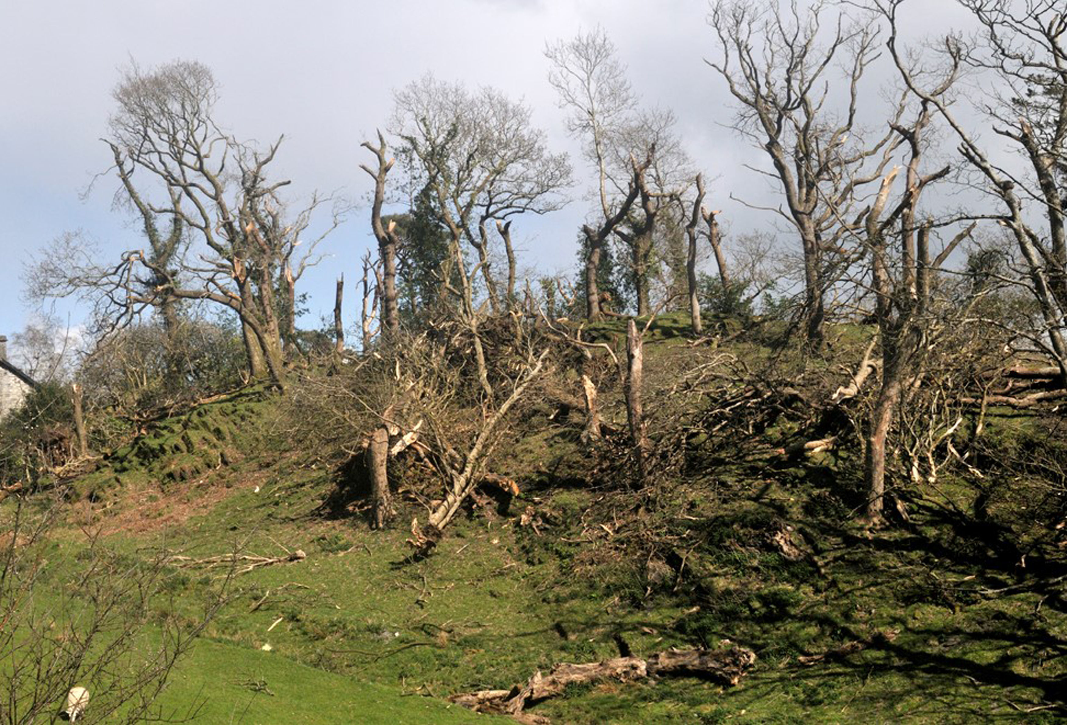 Tornado hits Welsh farm