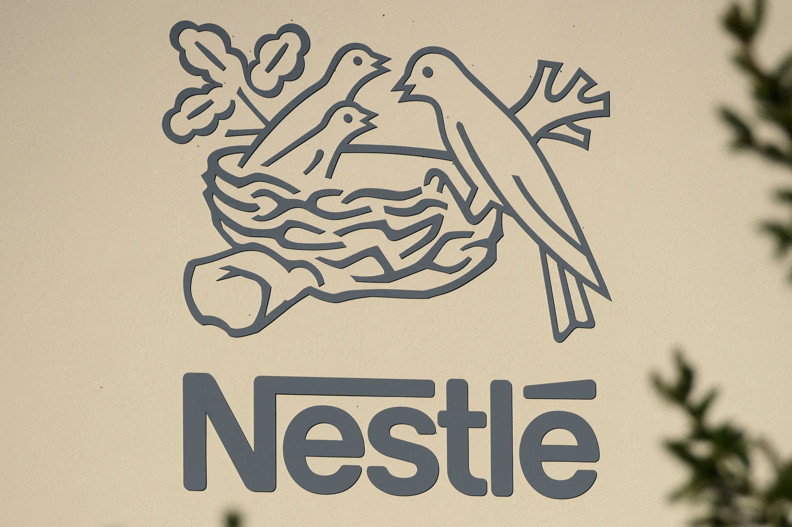 Nestlé breaks silence on the future of discontinued bar