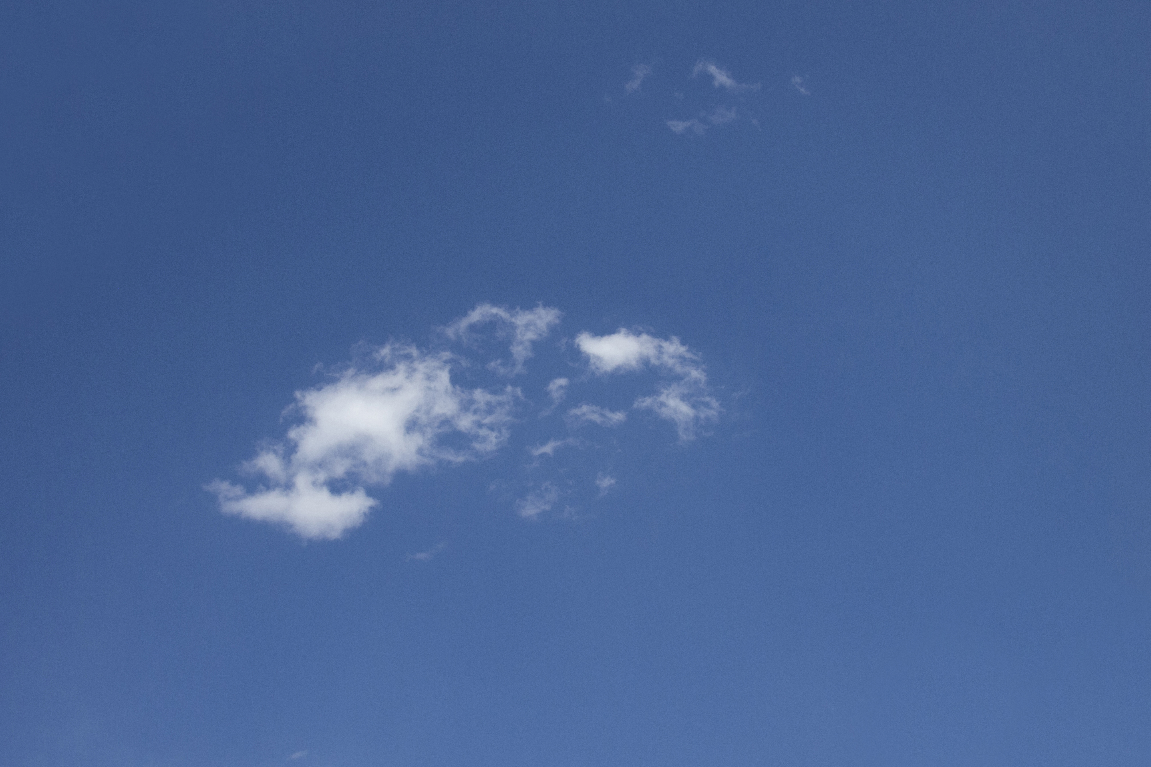 In the Air at the Wellcome Collection: pollution and politics permeate