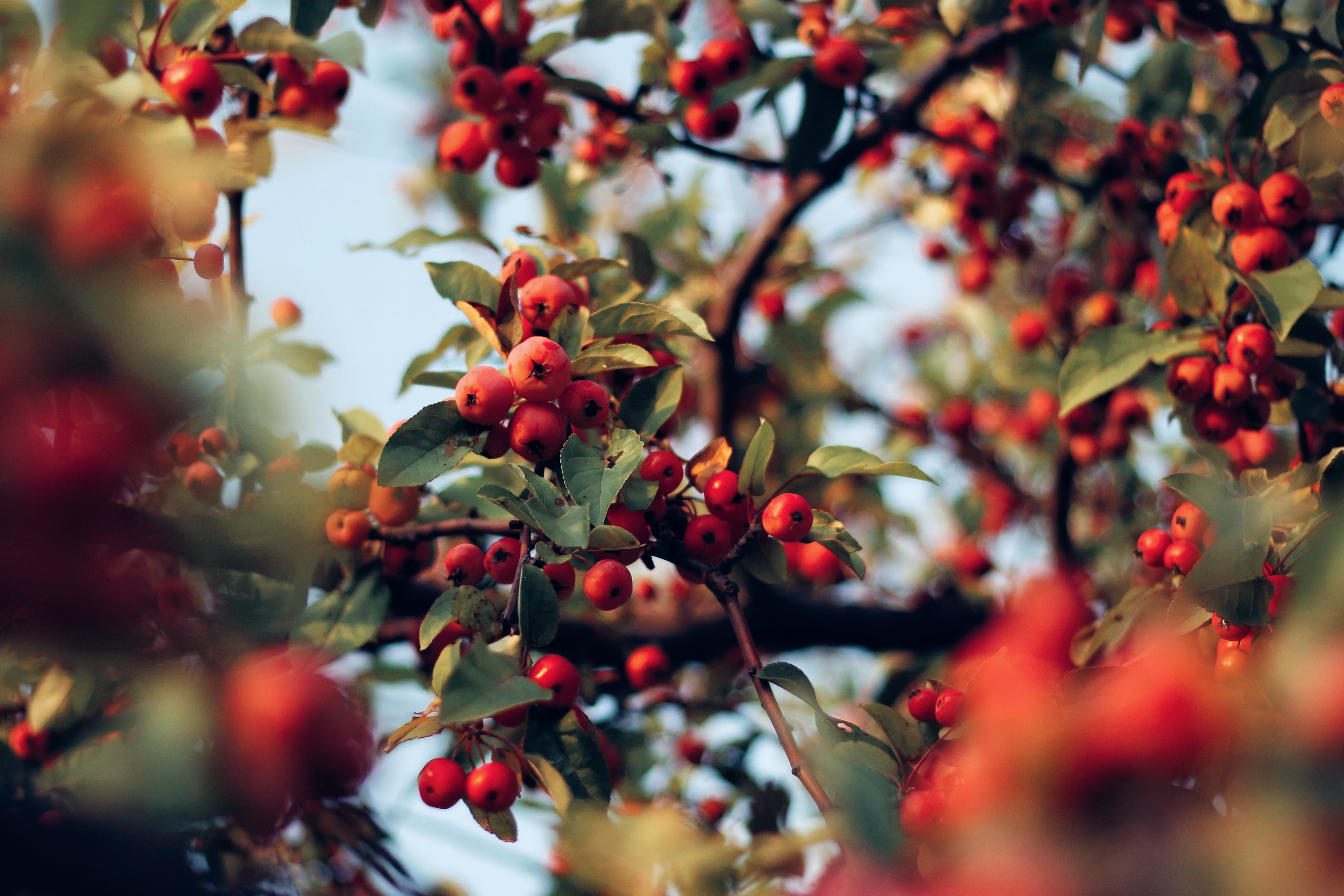 Best rosehip oil to help keep your skin smooth