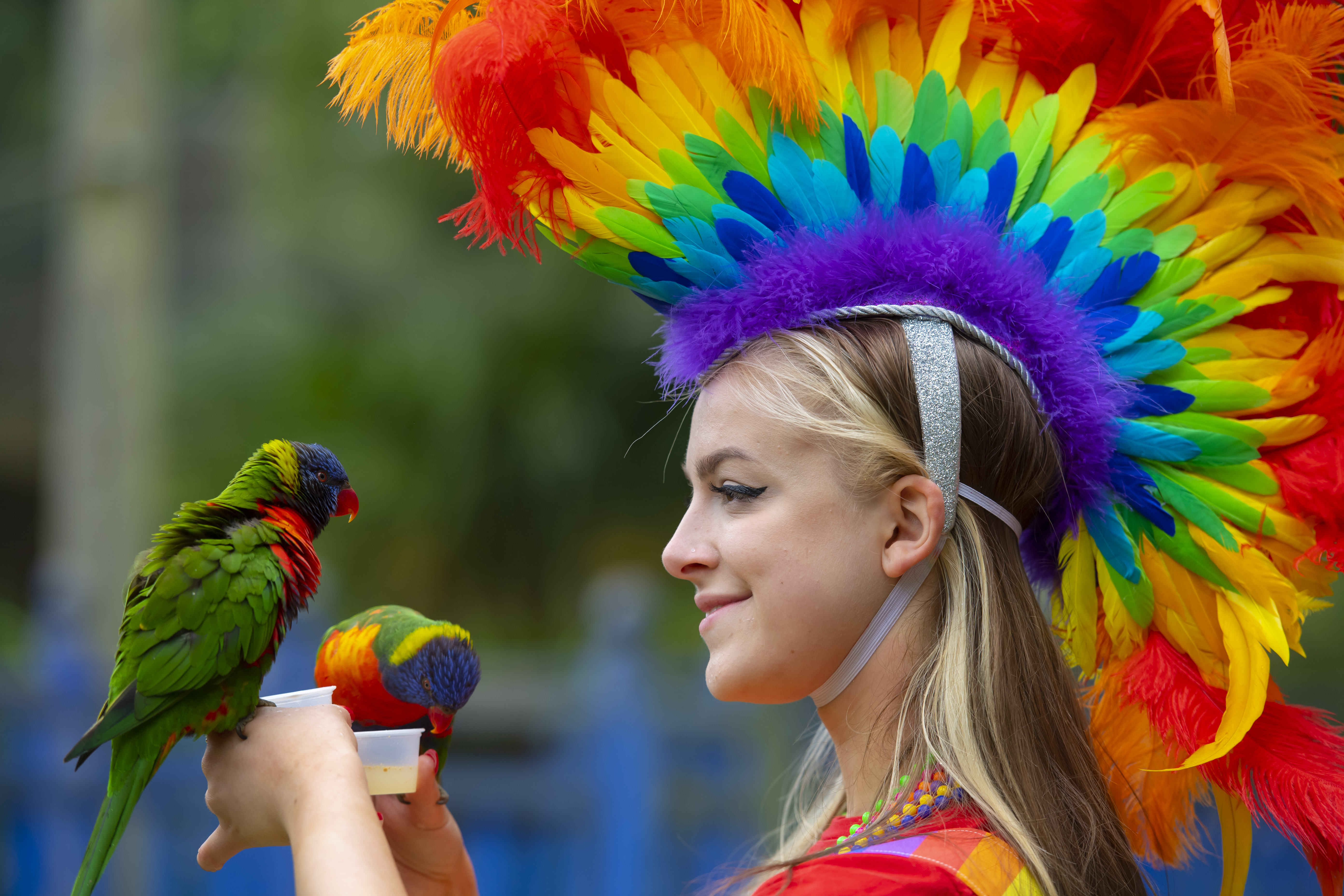 Chessington World of Adventures - Mardi GRRRA!, Surrey, 26th May 2022