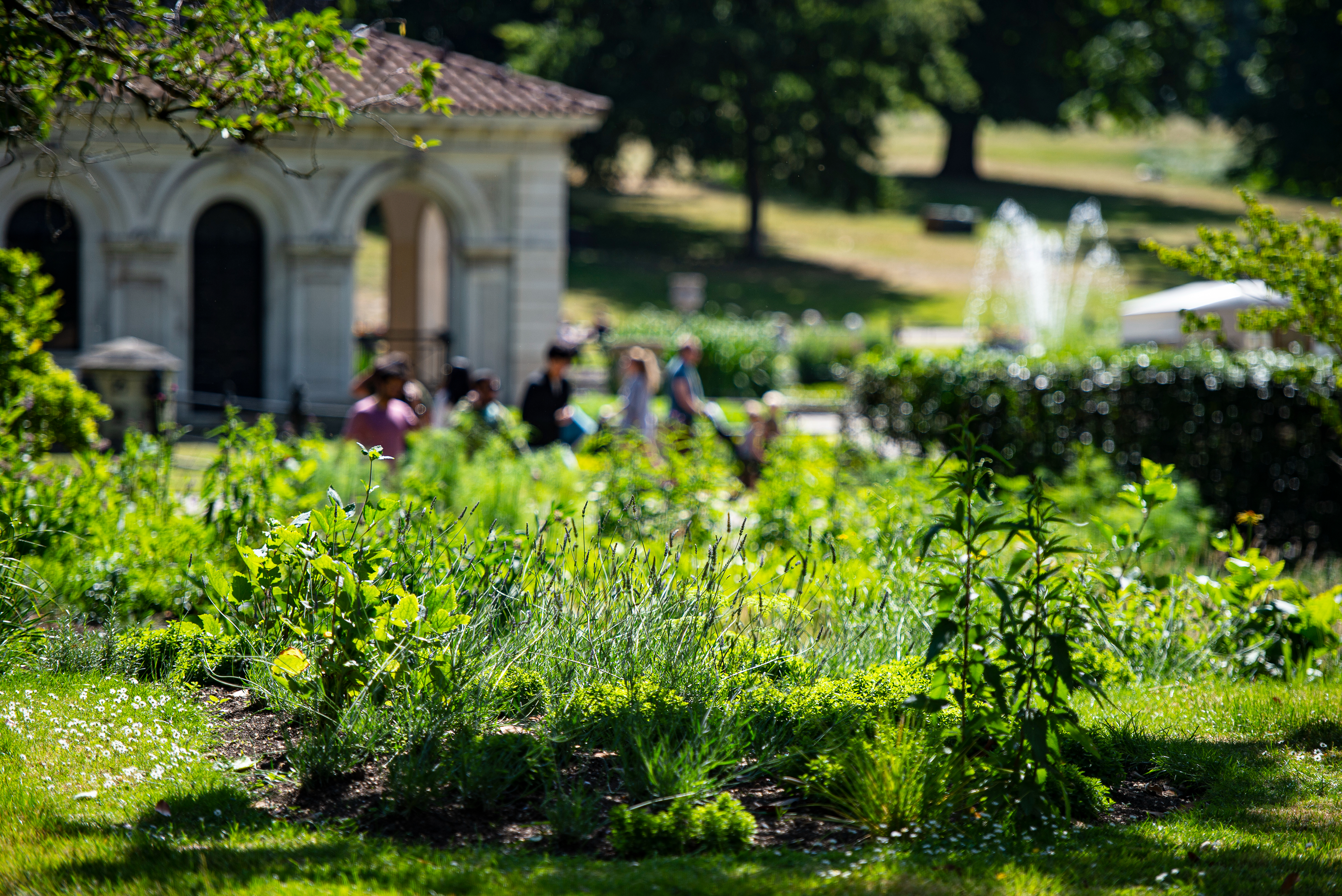 London Public Gardens