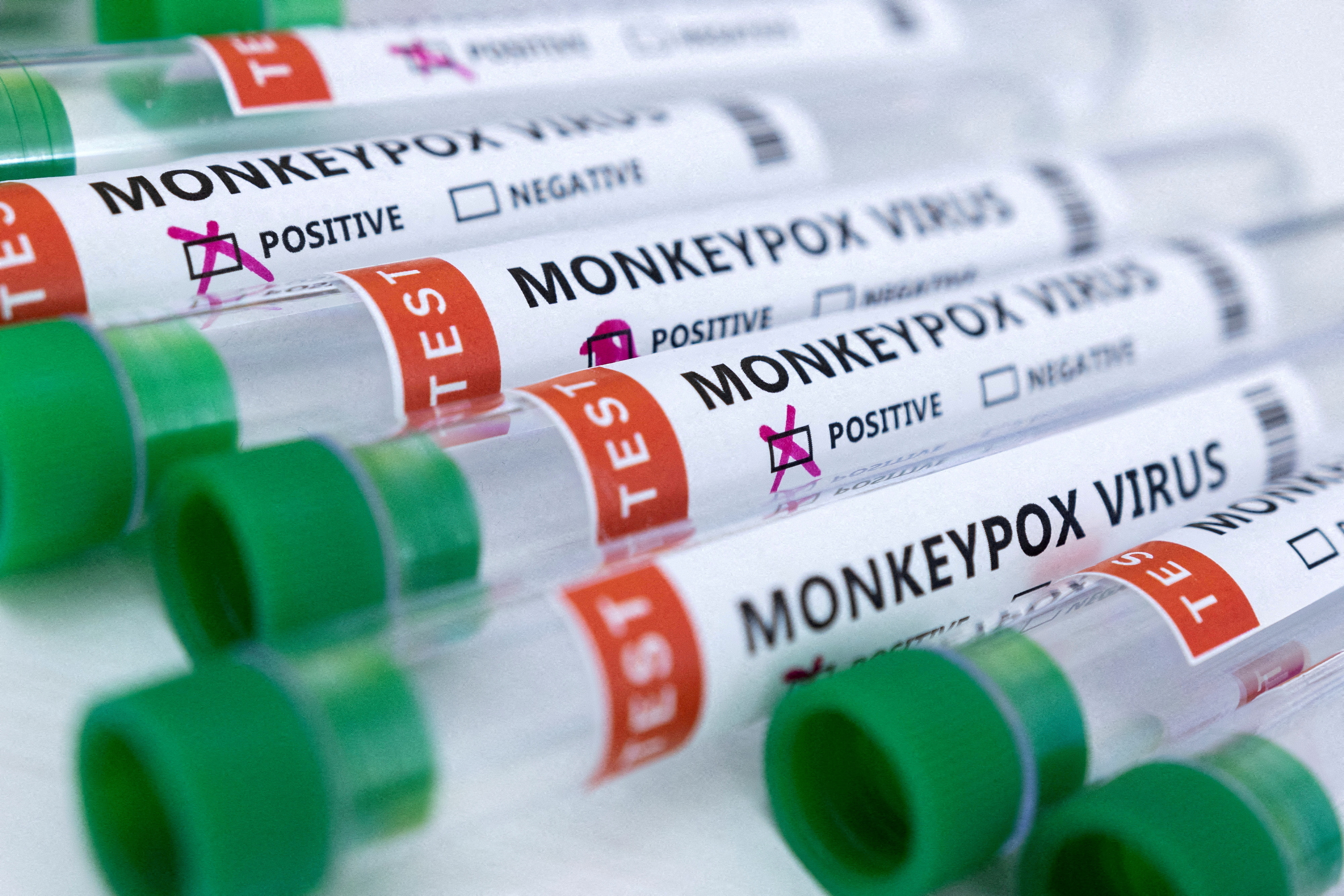 FILE PHOTO: Illustration shows test tubes labelled "Monkeypox virus positive and negative\\