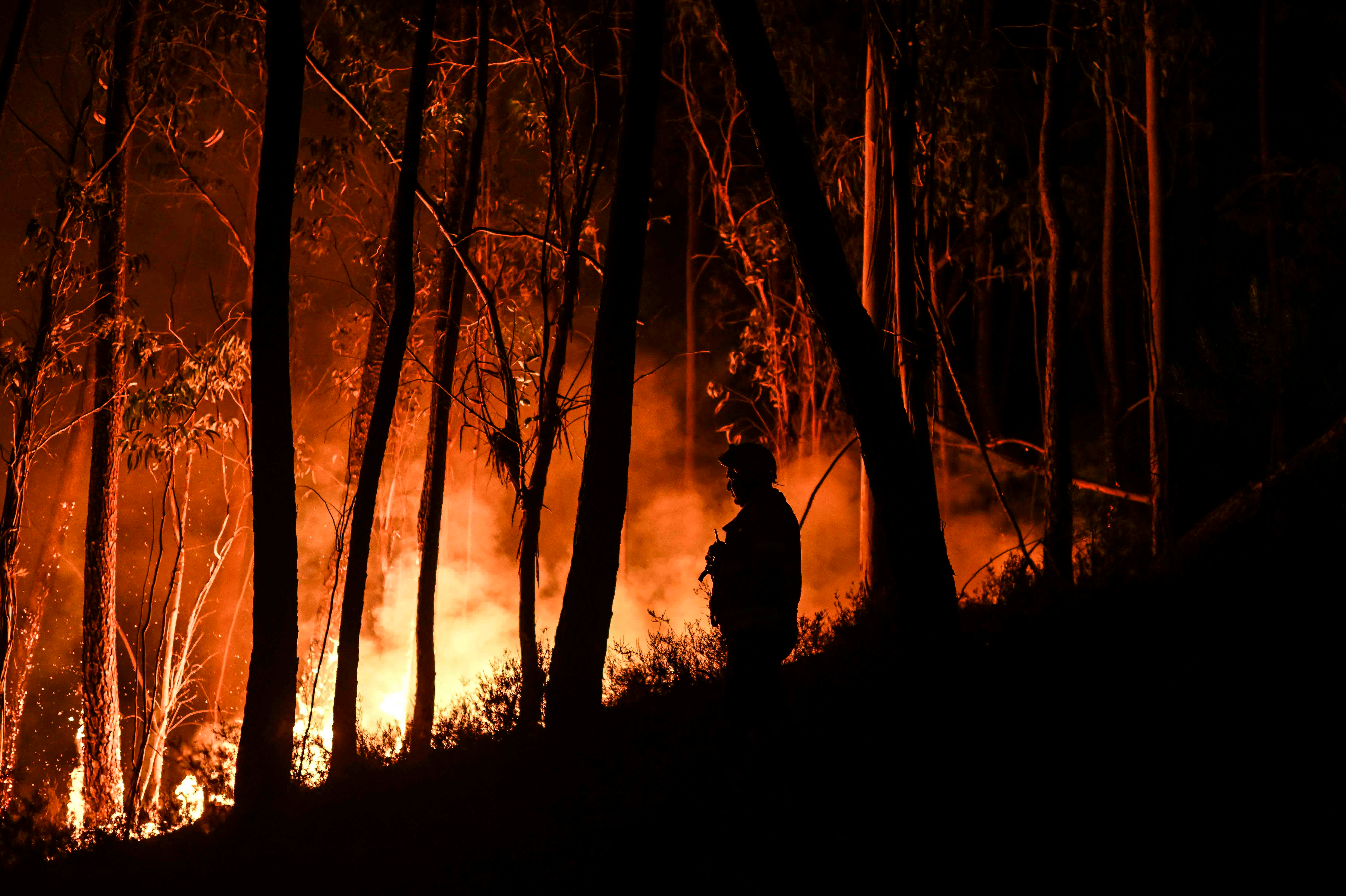 TOPSHOT-PORTUGAL-ENVIROMENT-WILDFIRE