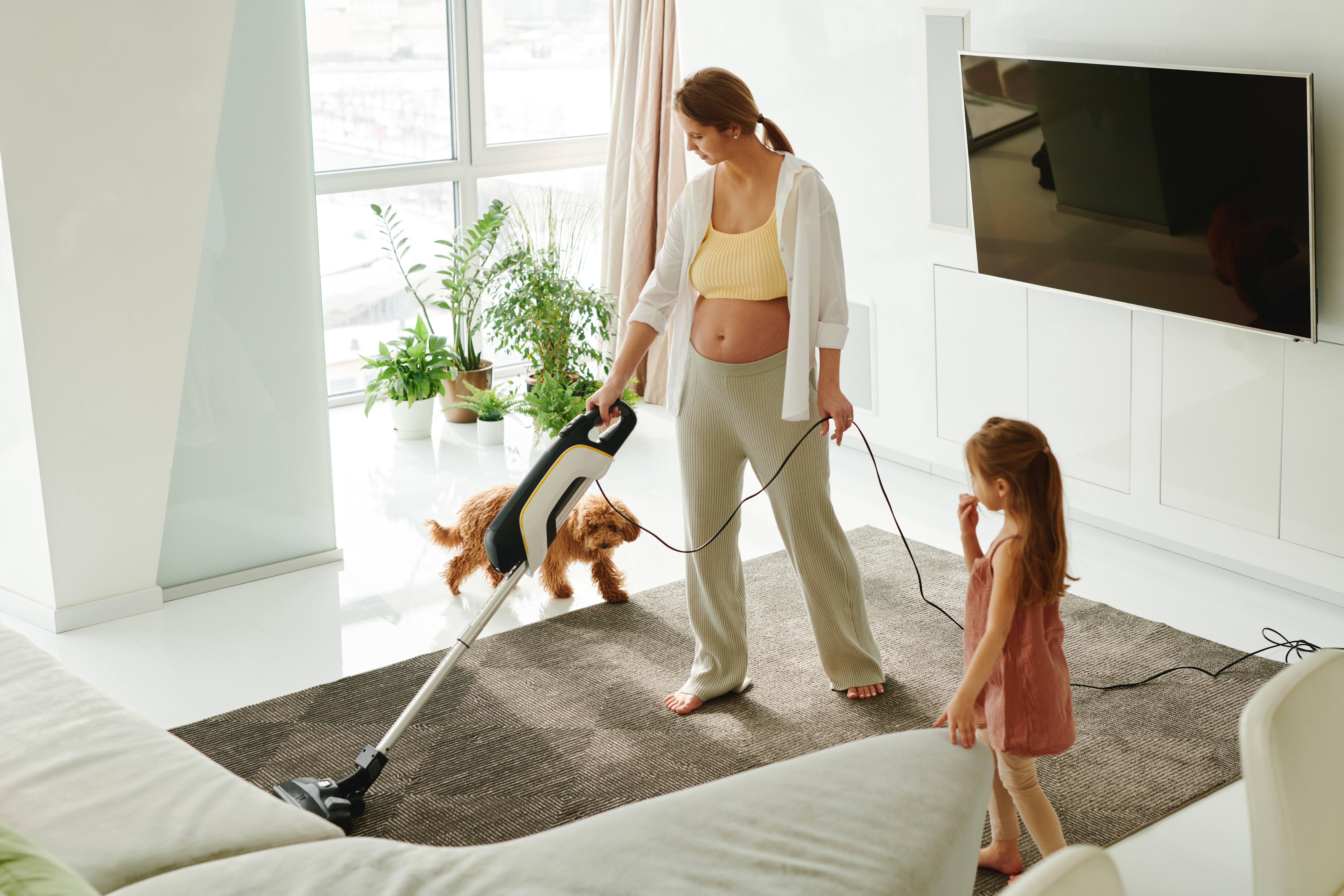 Best vacuum cleaner deals for September 2023: Cordless, handheld, robot cleaners and more