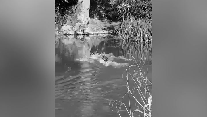 Watch: Kate Moss strips and goes skinny-dipping for her new ‘wellness’ brand