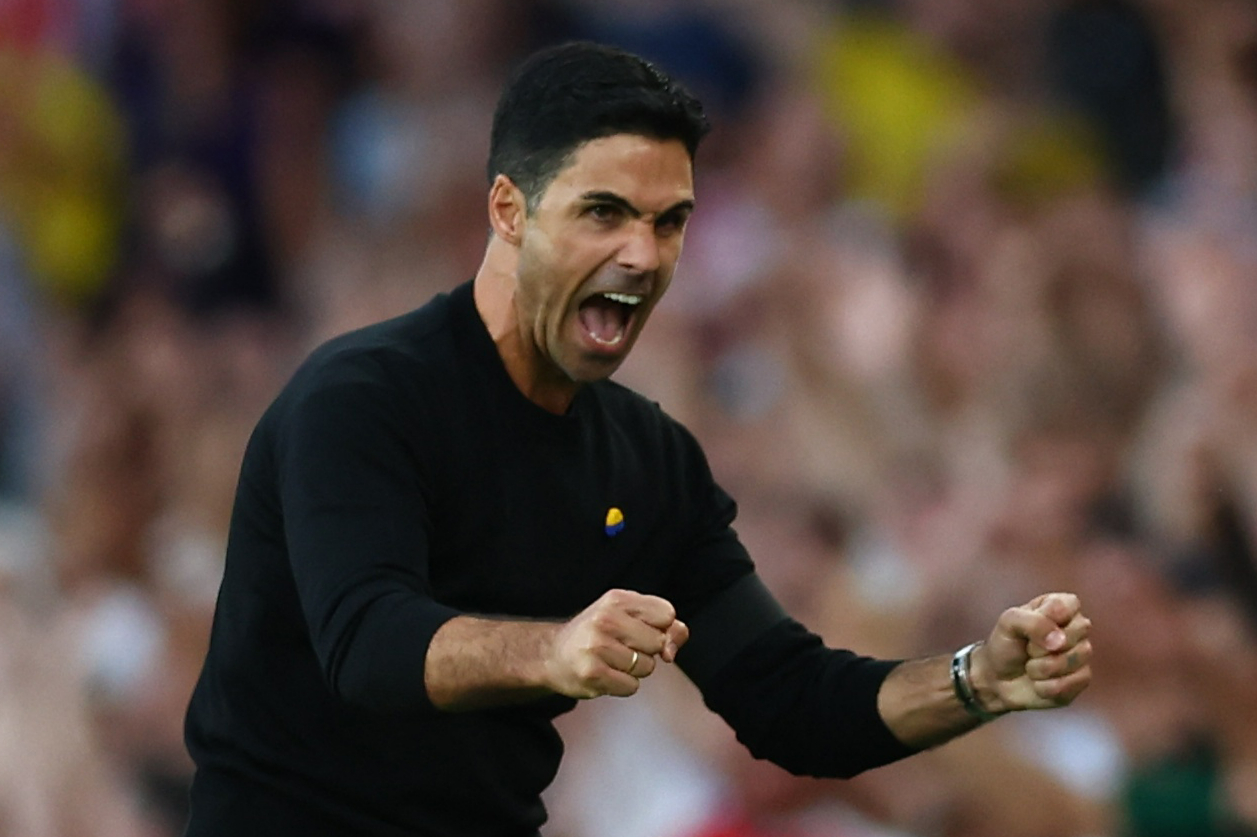 Premier League - Arsenal v Fulham