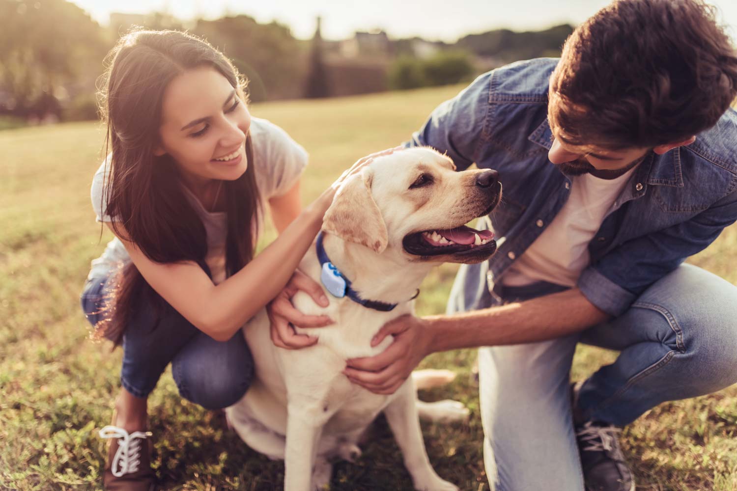 Best pet GPS trackers for dogs and cats
