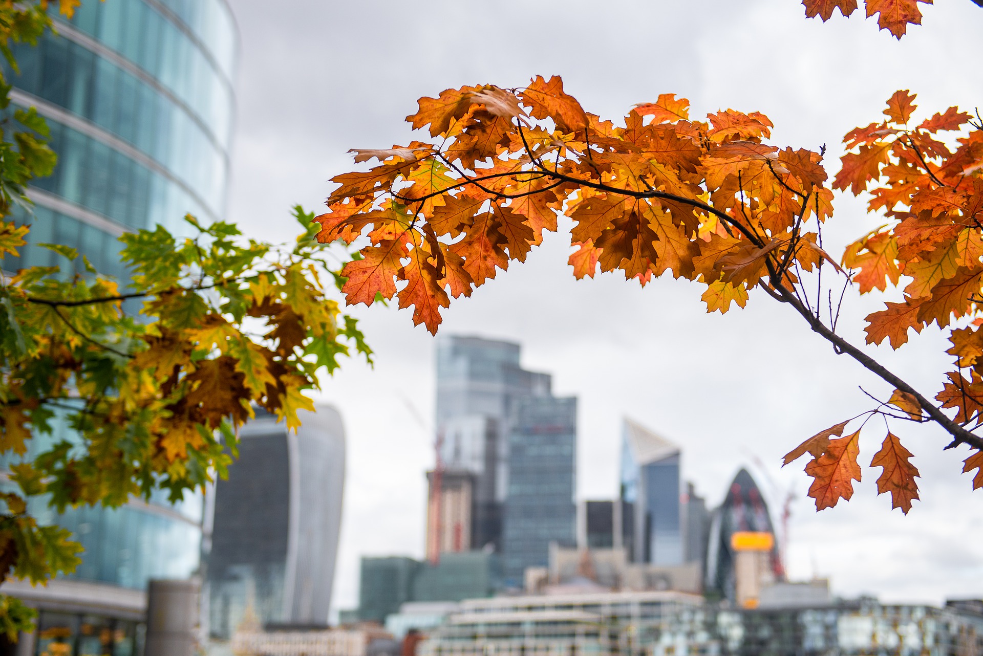 When does autumn start in 2023 and what is the autumnal equinox?
