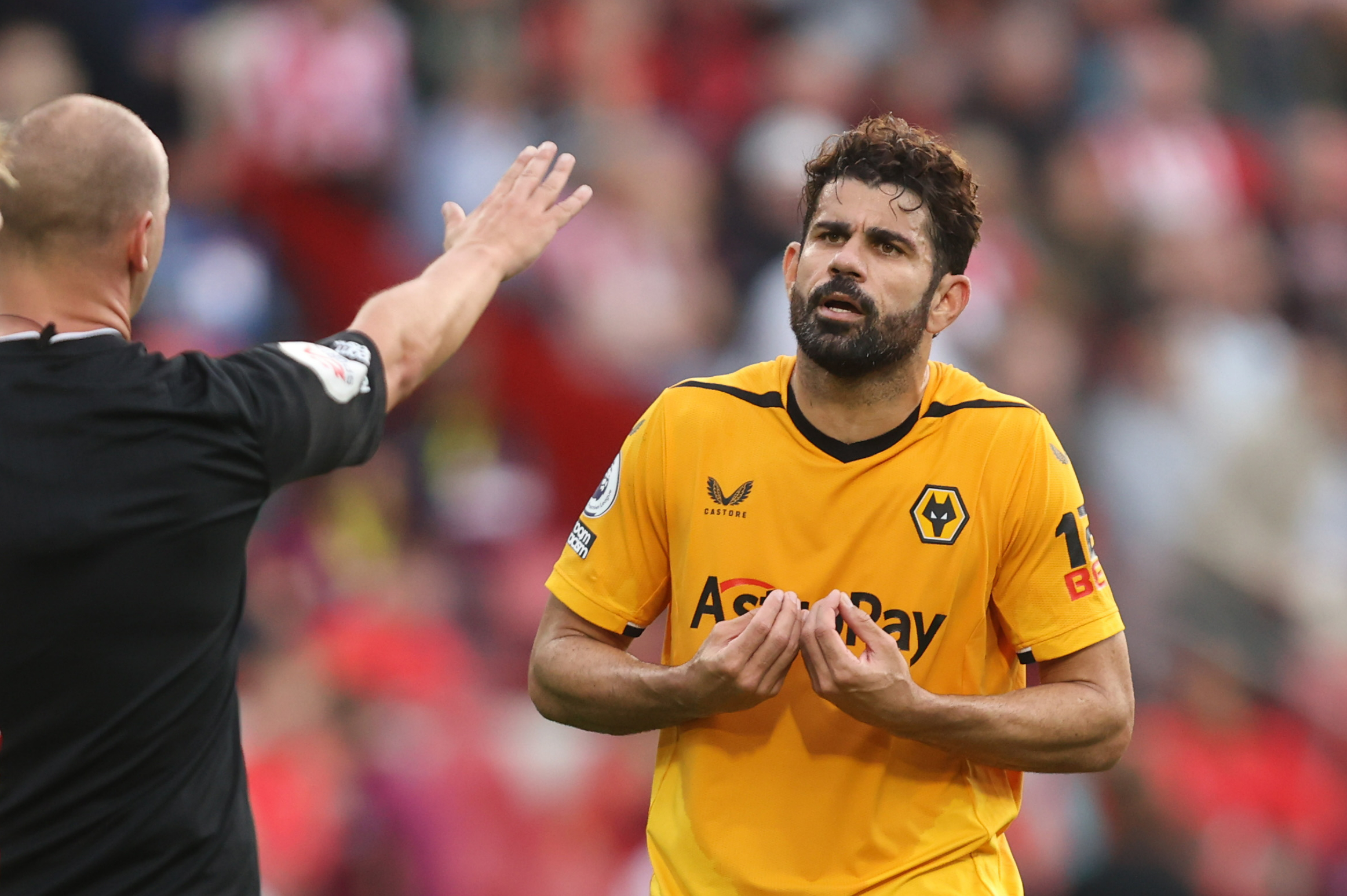 Brentford FC v Wolverhampton Wanderers - Premier League