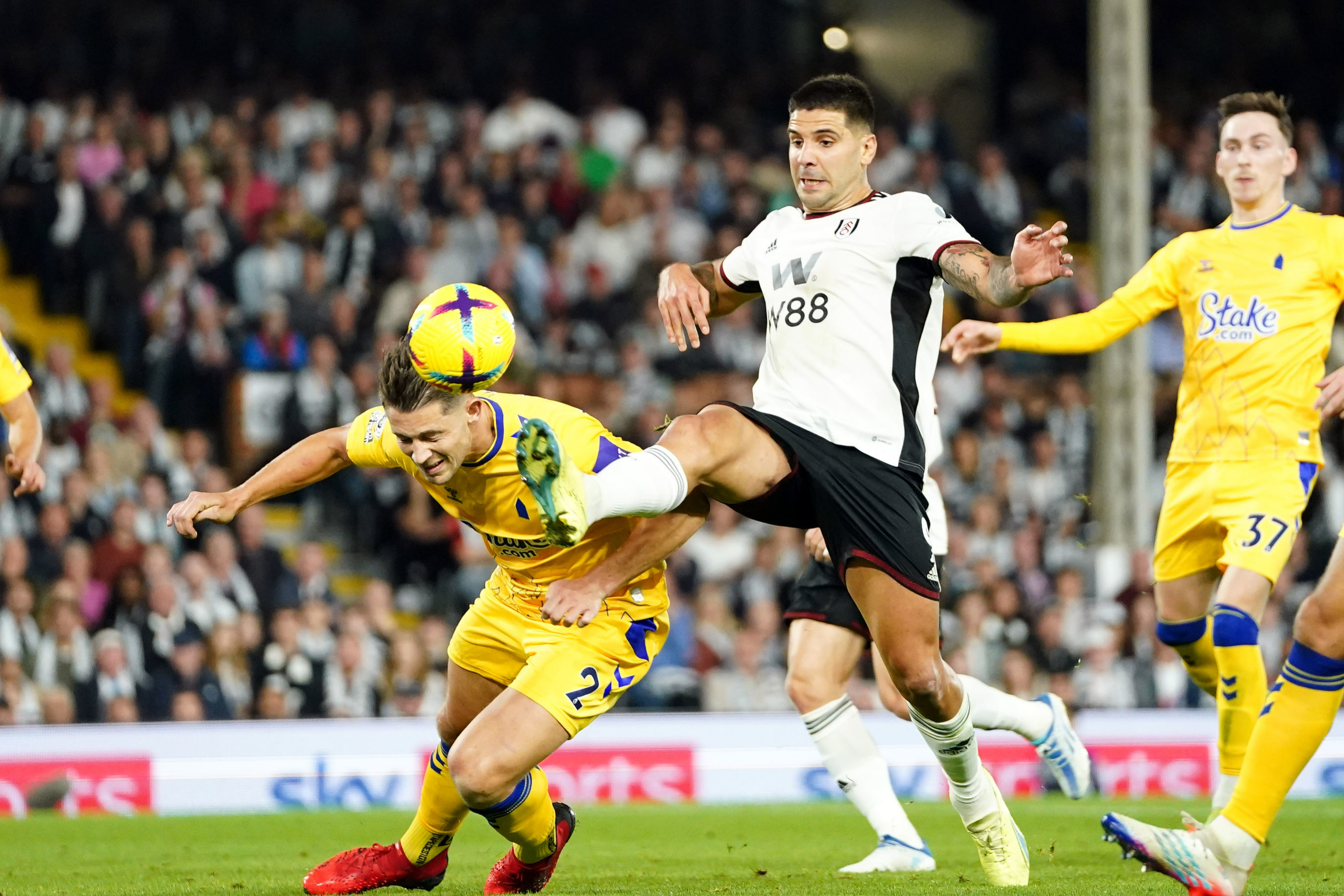 Fulham v Everton - Premier League - Craven Cottage