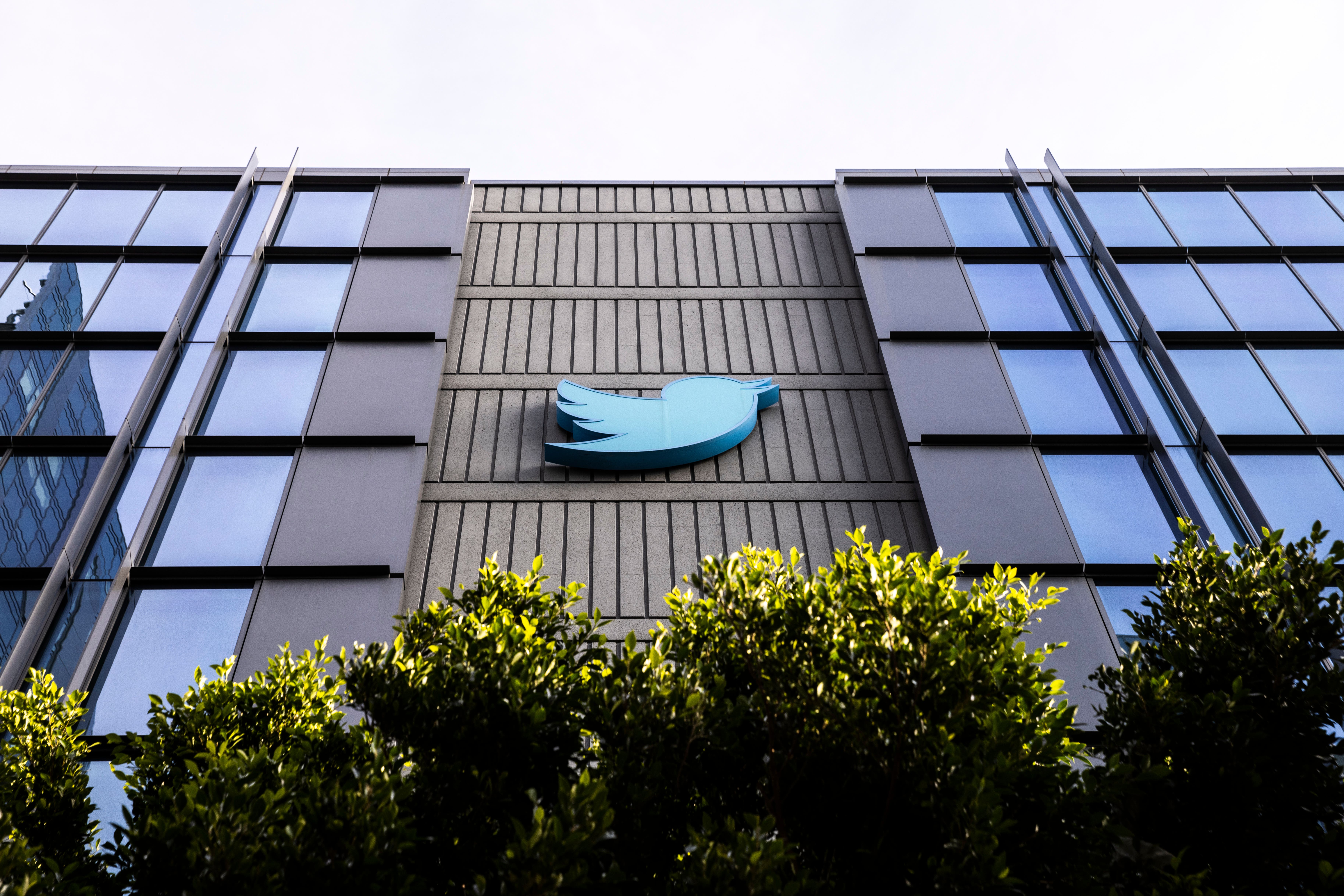 Ex-safety boss: Twitter not adhering to app store rules would be ‘catastrophic’