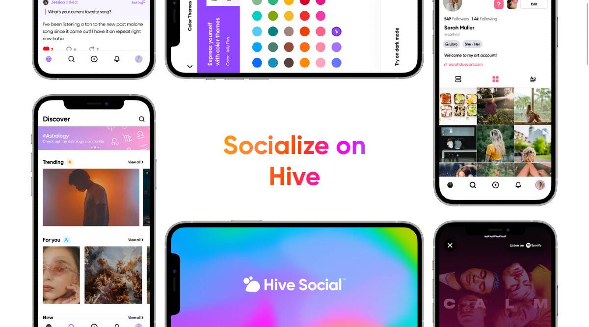 What is Hive Social?