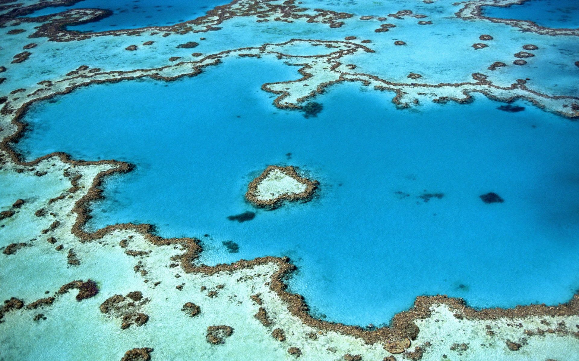 Magnitude 4.4 earthquake rocks holiday hotspot in Australia 