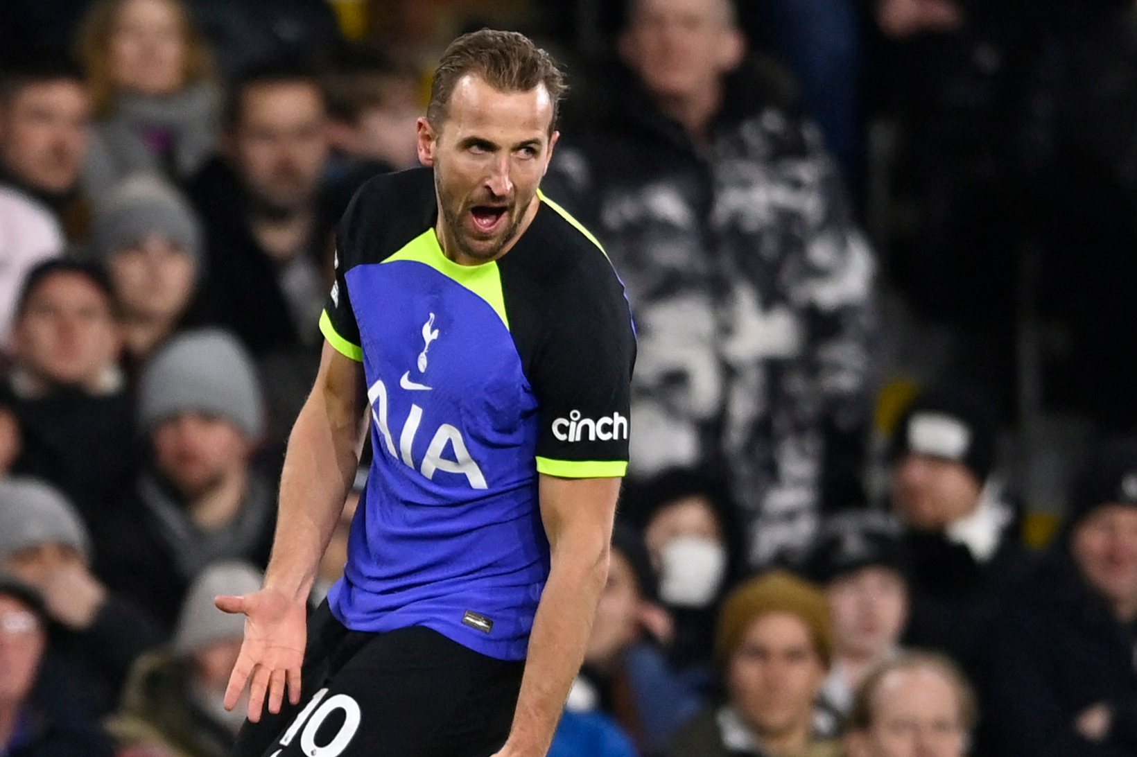 Premier League - Fulham v Tottenham Hotspur