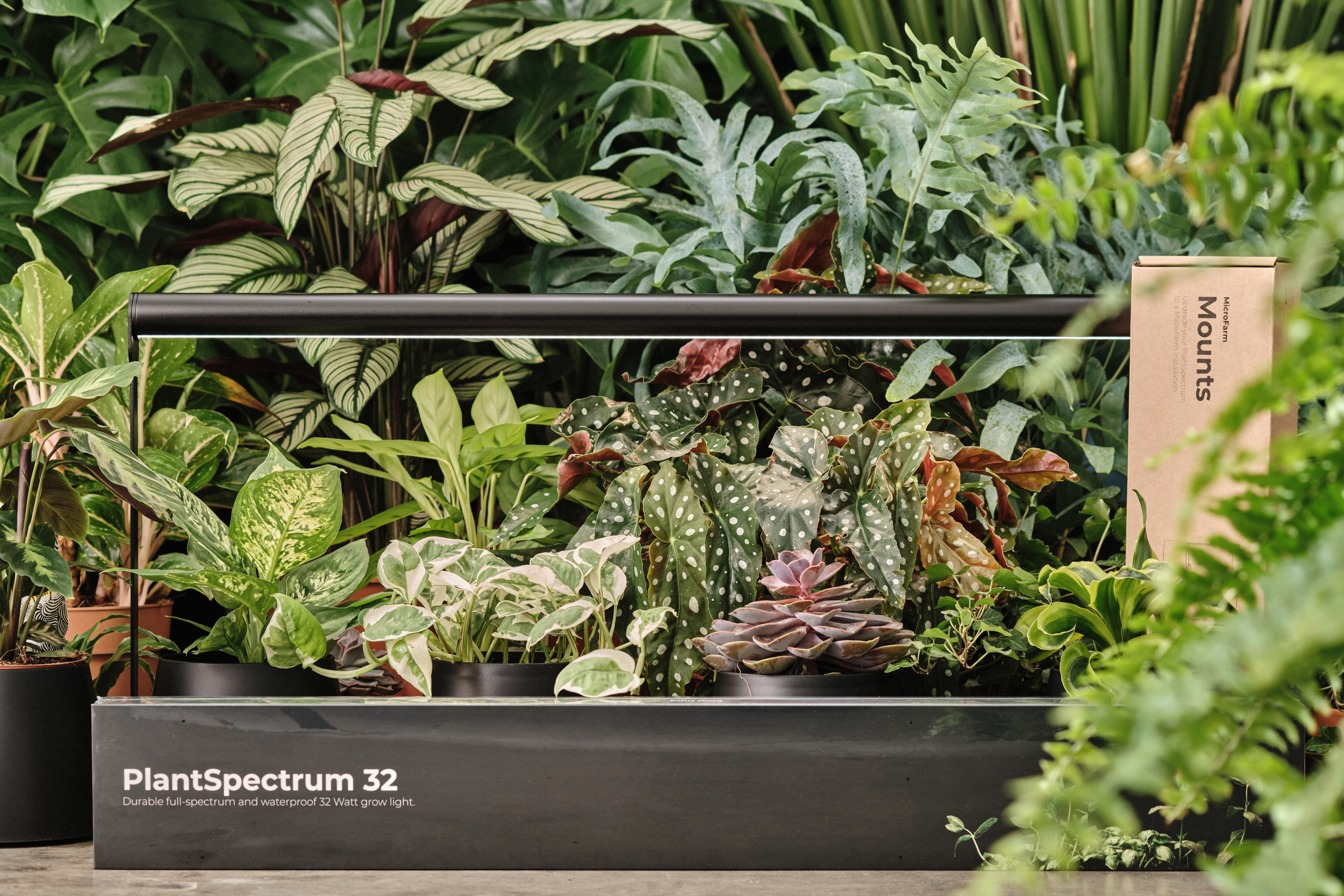 Best grow lights for indoor plants that will help them flourish
