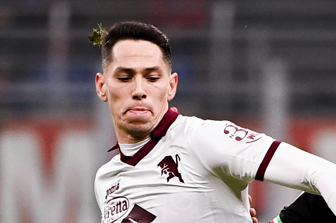 Sasa Lukic asks for Fulham transfer to link up with Aleksandar Mitrovic in £8m deal