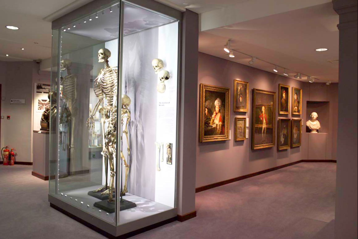 Three of London's most gloriously odd museums