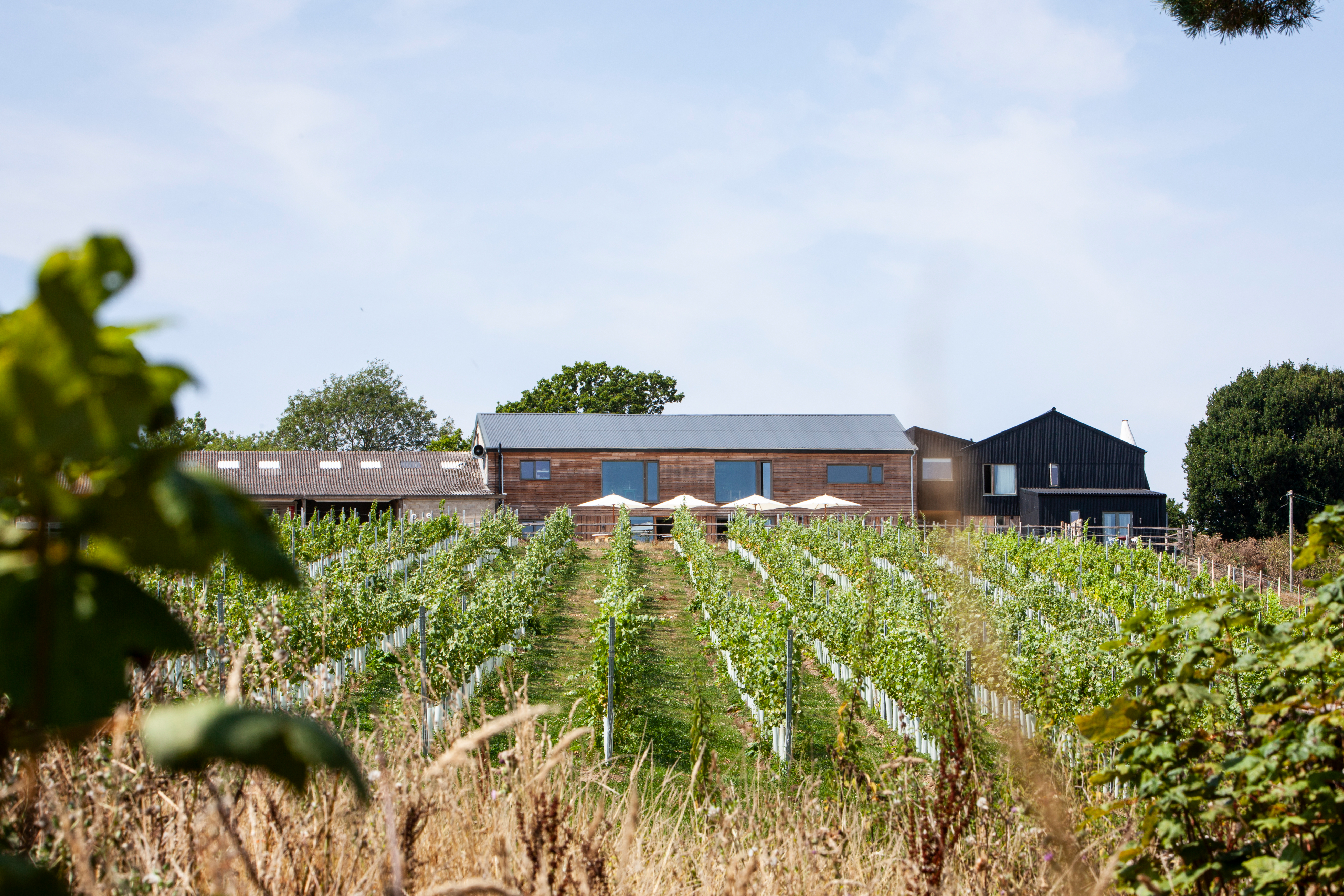 Chapel Down to Tillingham — the chicest vineyard stays in the UK