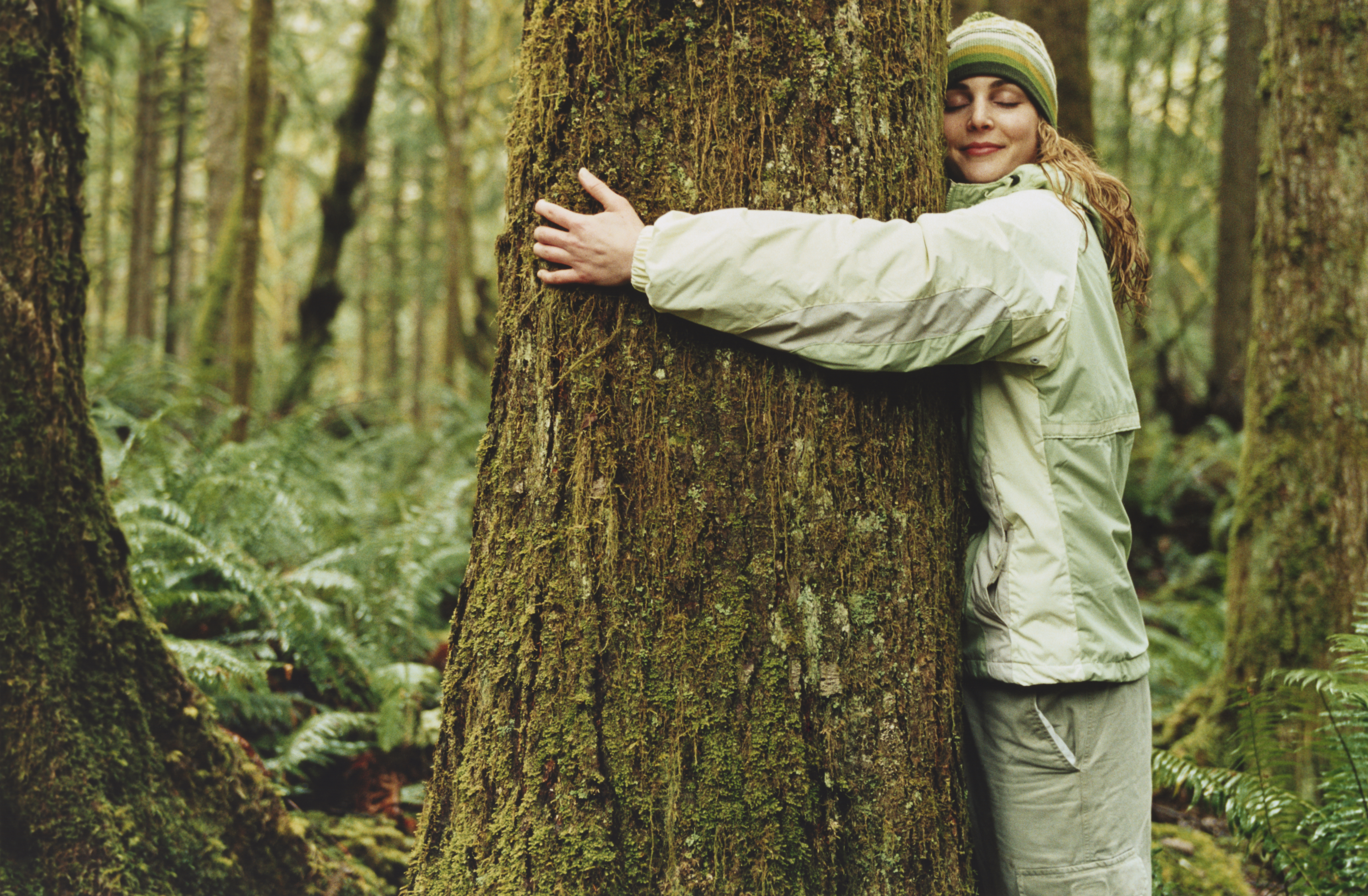 Gardener’s notebook: how to tune into the ‘gurgle and pop’ of trees as they reawaken for spring