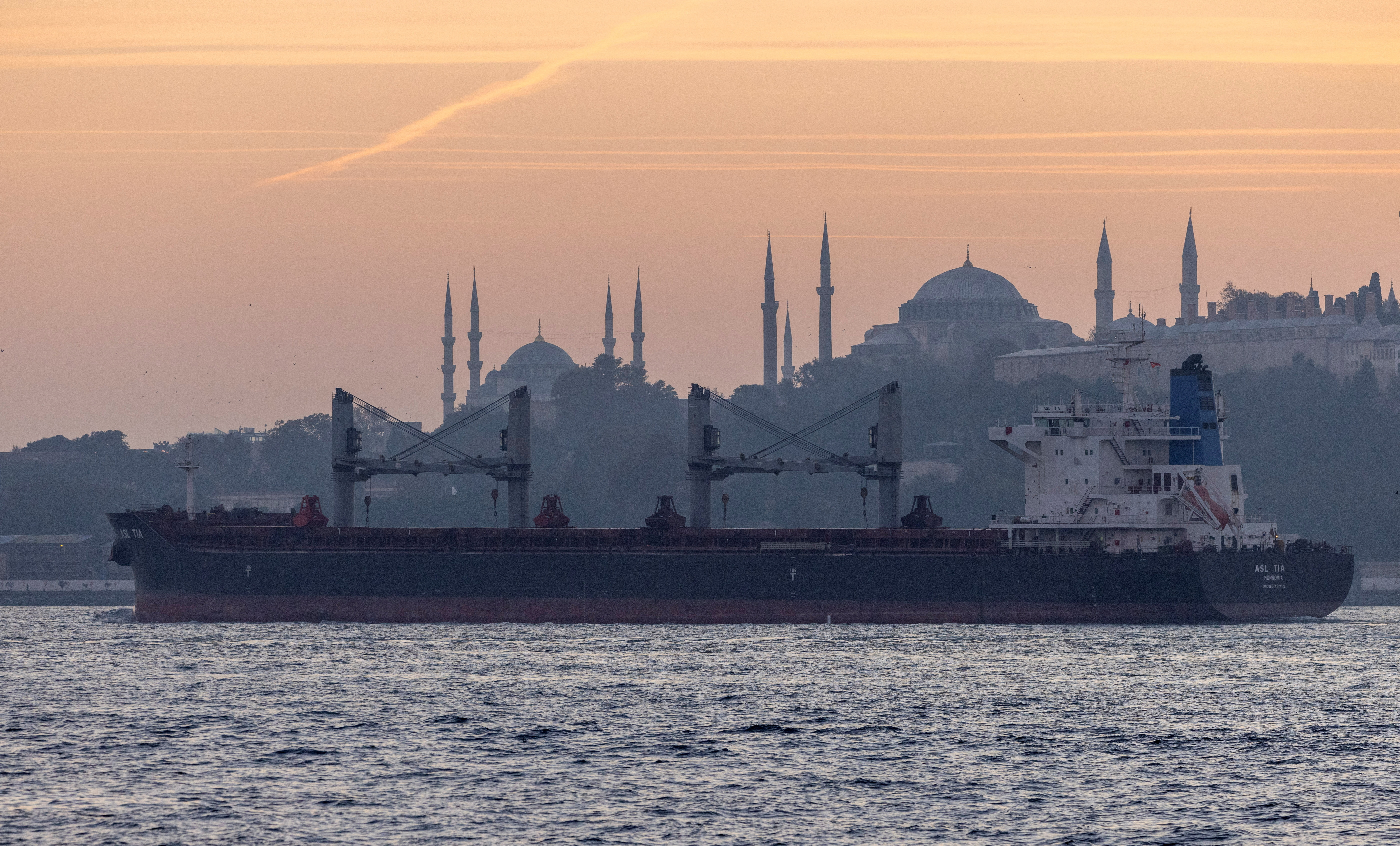 FILE PHOTO: Asl Tia, a cargo vessel carrying Ukrainian grain, transits Bosphorus, in Istanbul