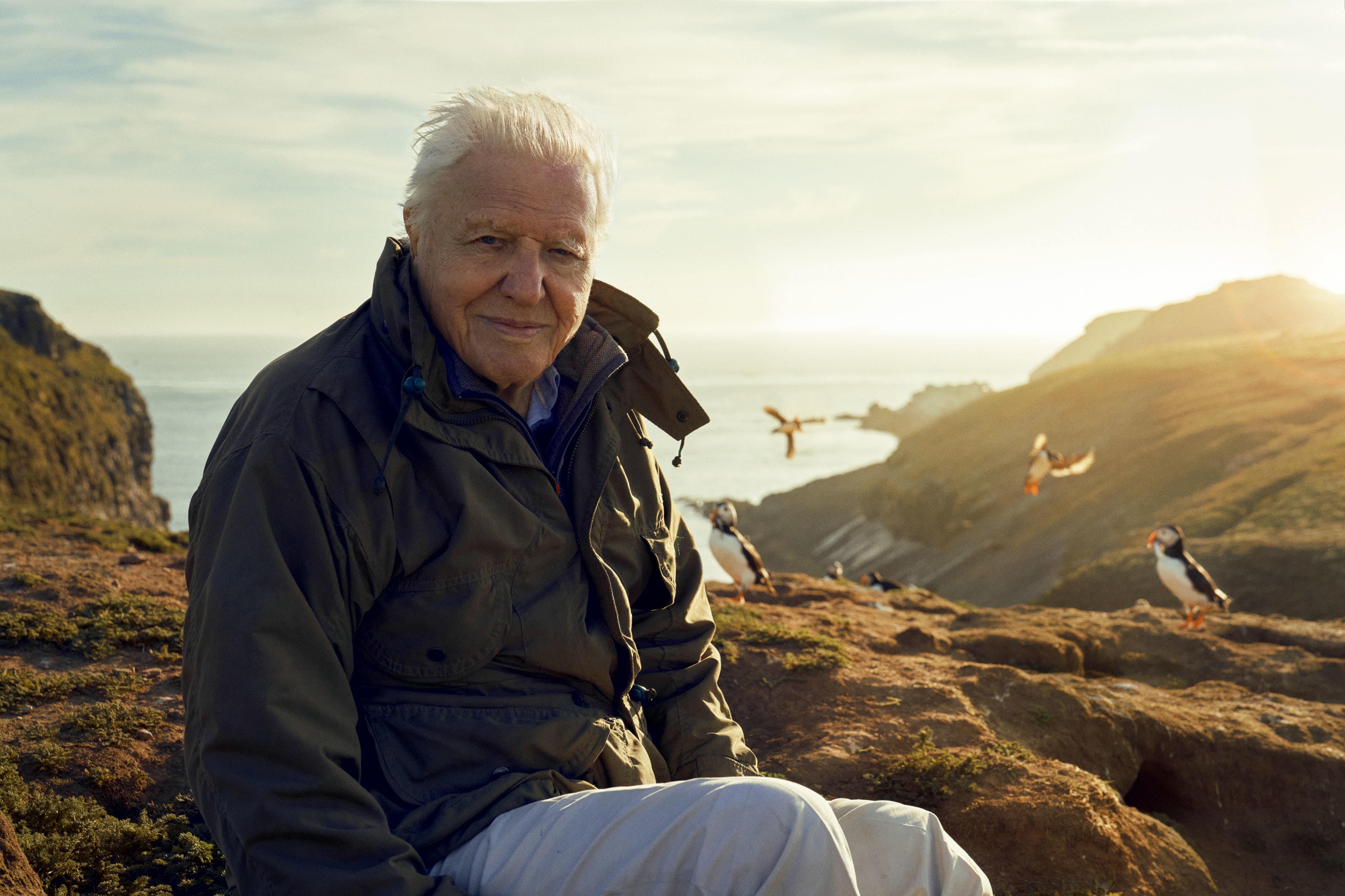 BBC denies David Attenborough censorship claims