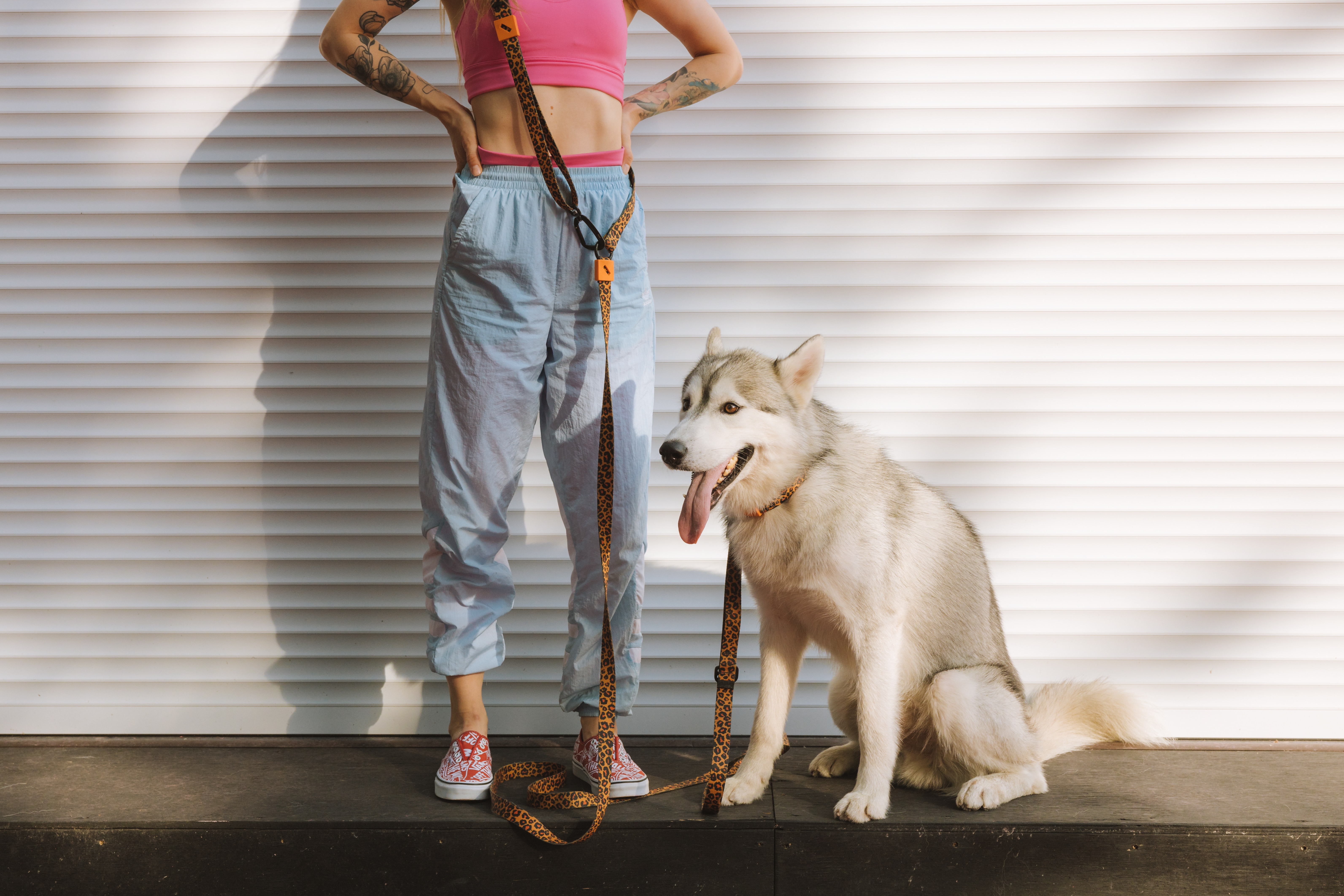 Best hands-free dog leads for active pet parents