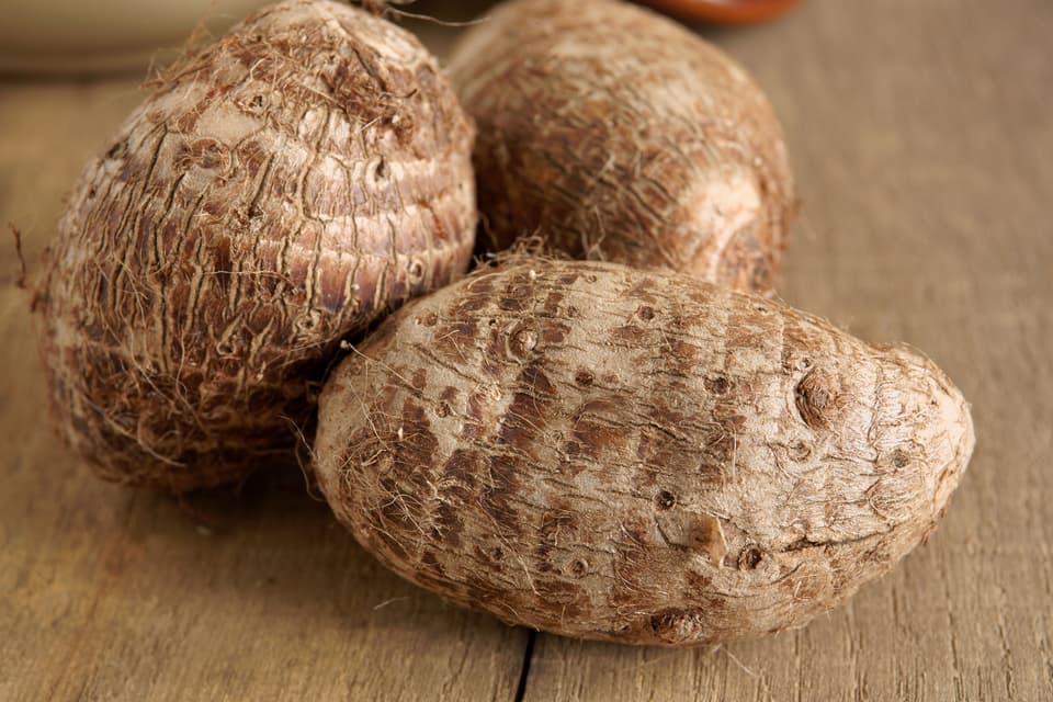 Eddoe or Eddo a tropical root vegetable latin name Colocasia antiquorum closely related to Taro