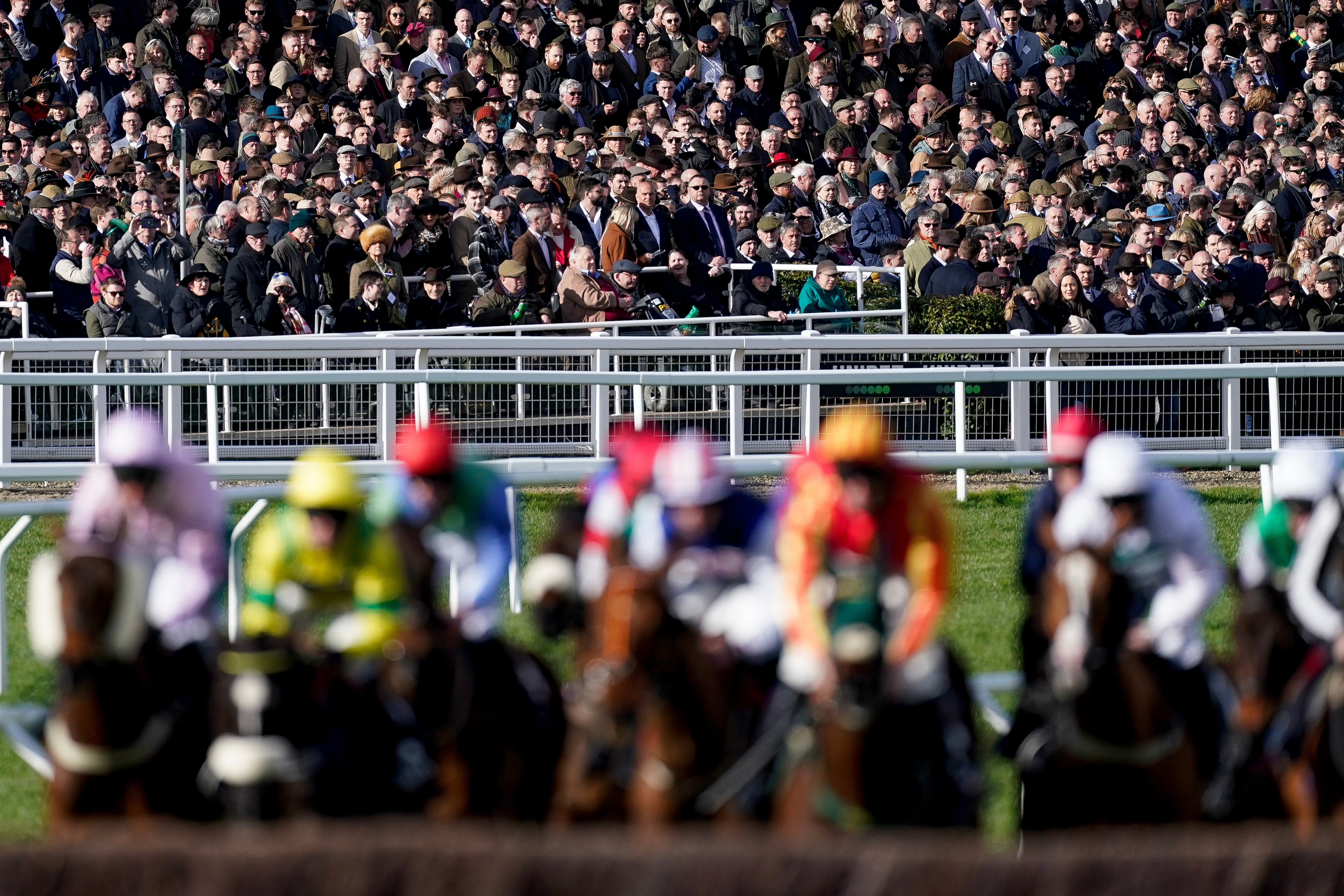How to watch Cheltenham Festival 2024: TV channel and live stream for every race