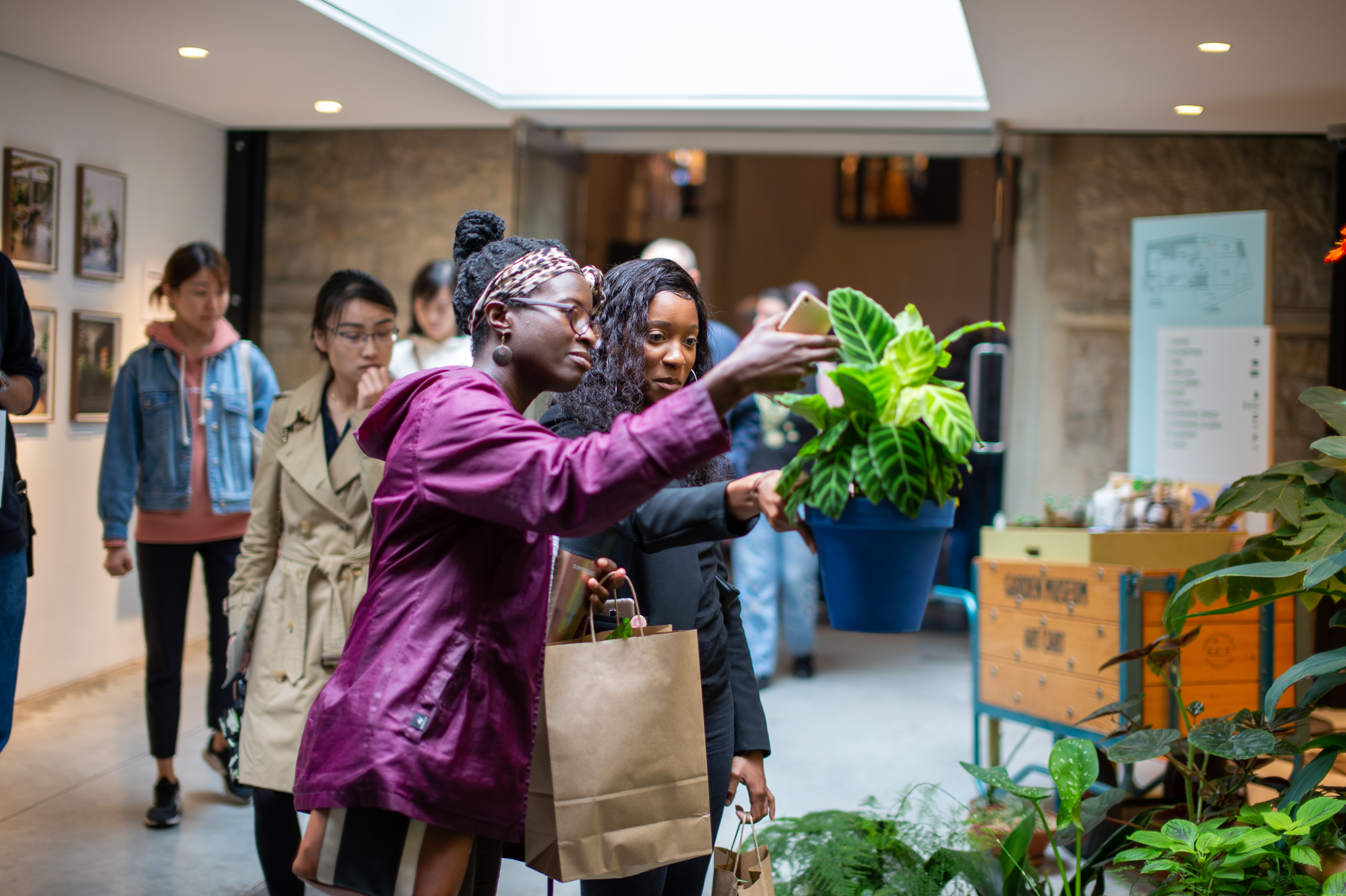 Gardener’s notebook: plant fairs and garden open days in London this spring