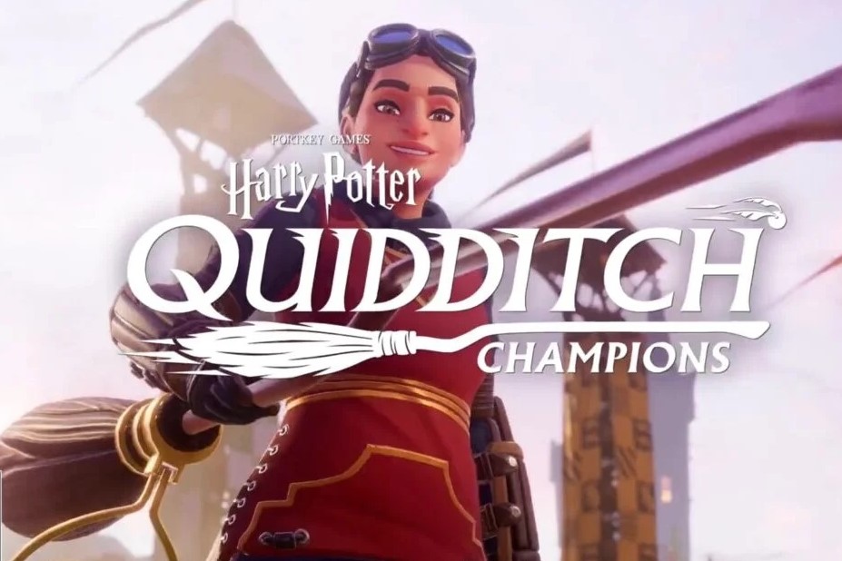 Harry Potter Quidditch Cahmpions