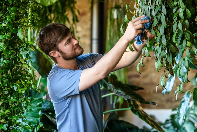 Gardener’s notebook: Tony Le-Britton’s top tips for caring for indoor plants