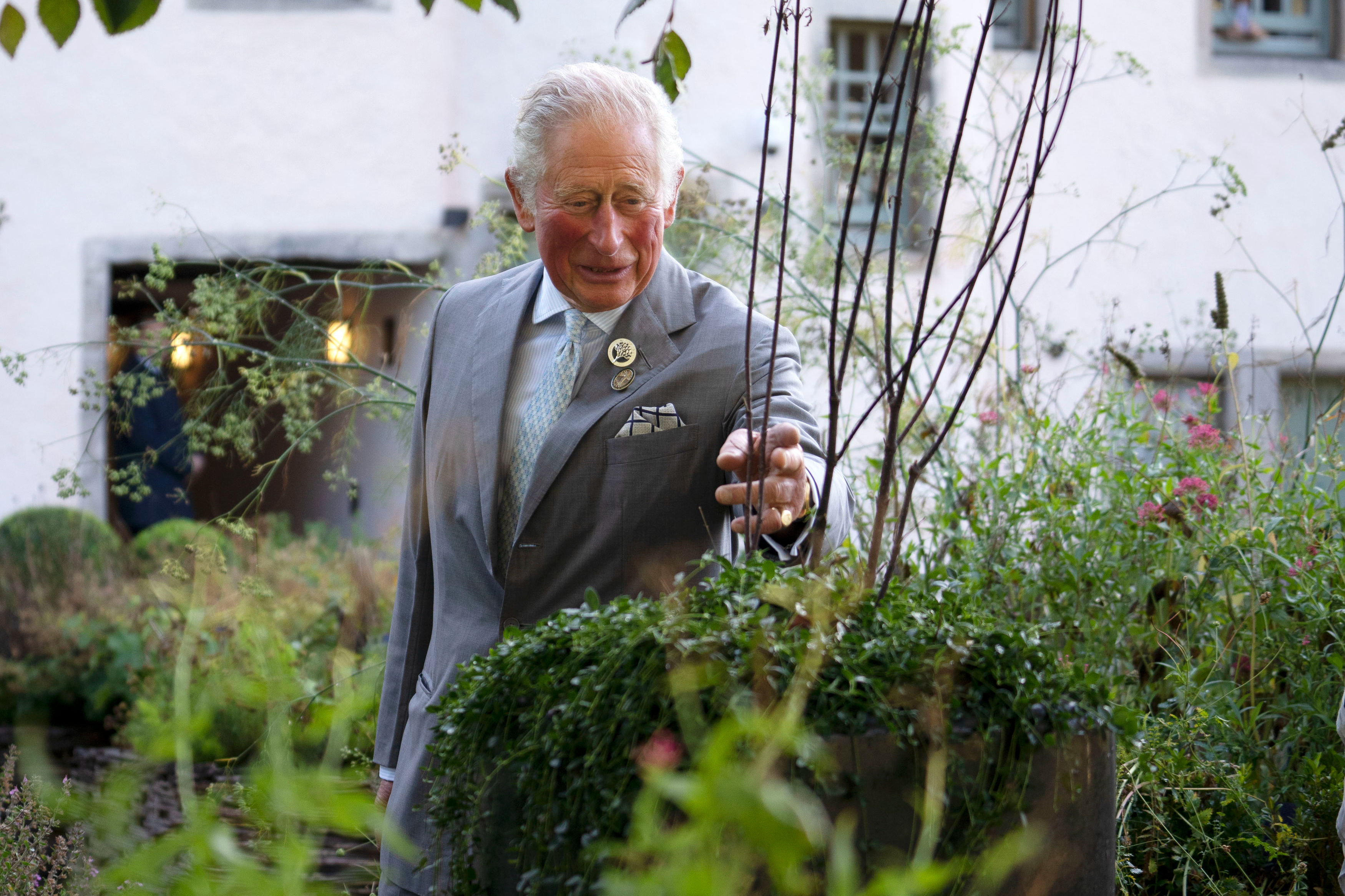 Revealed: King Charles and the royal family’s favourite flowers to go on display in the Royal Tribute Garden at Chelsea Flower Show