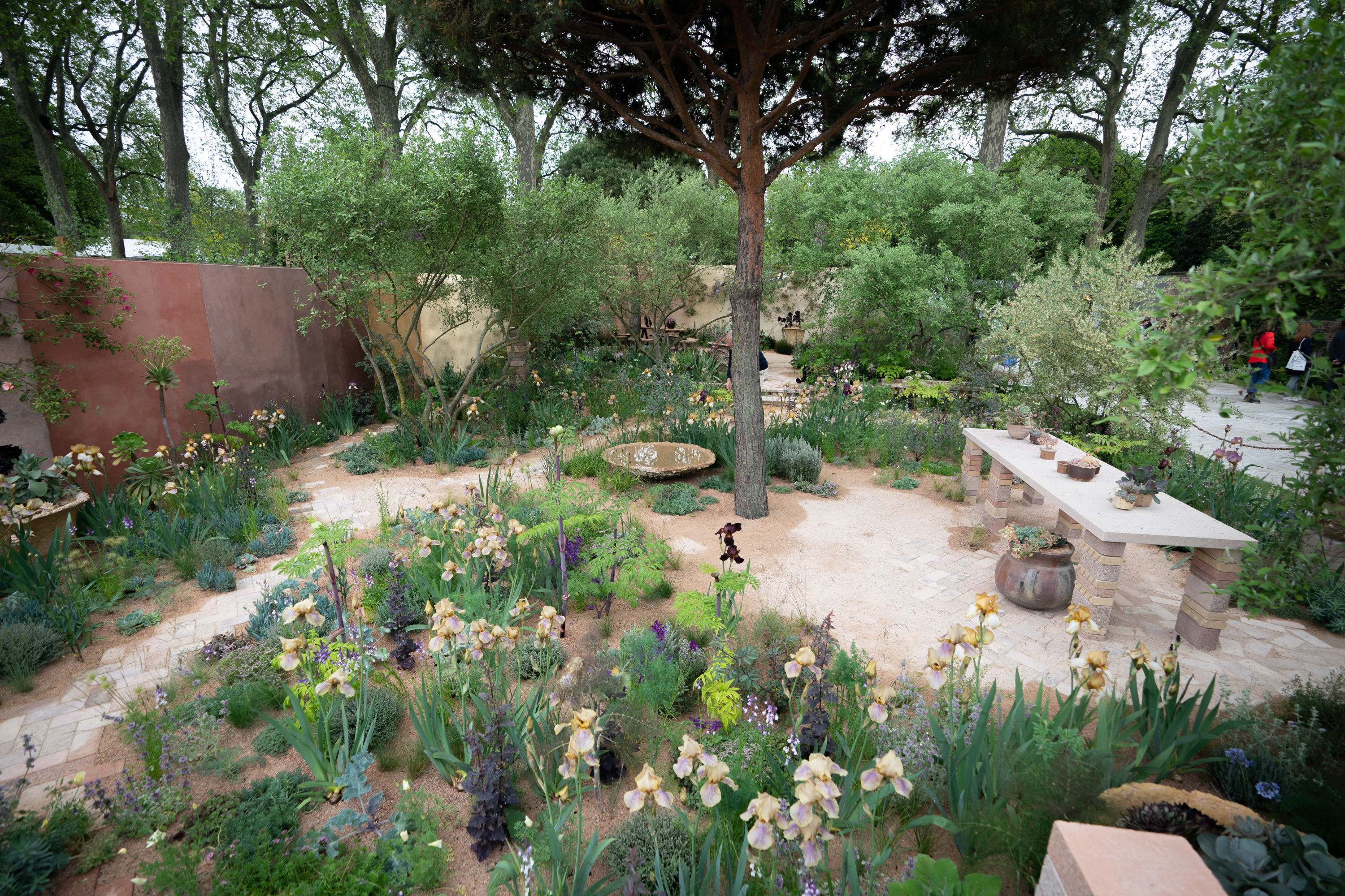 Chelsea Flower Show 2023 winners: the medal-winning gardens at this year’s horticultural extravaganza