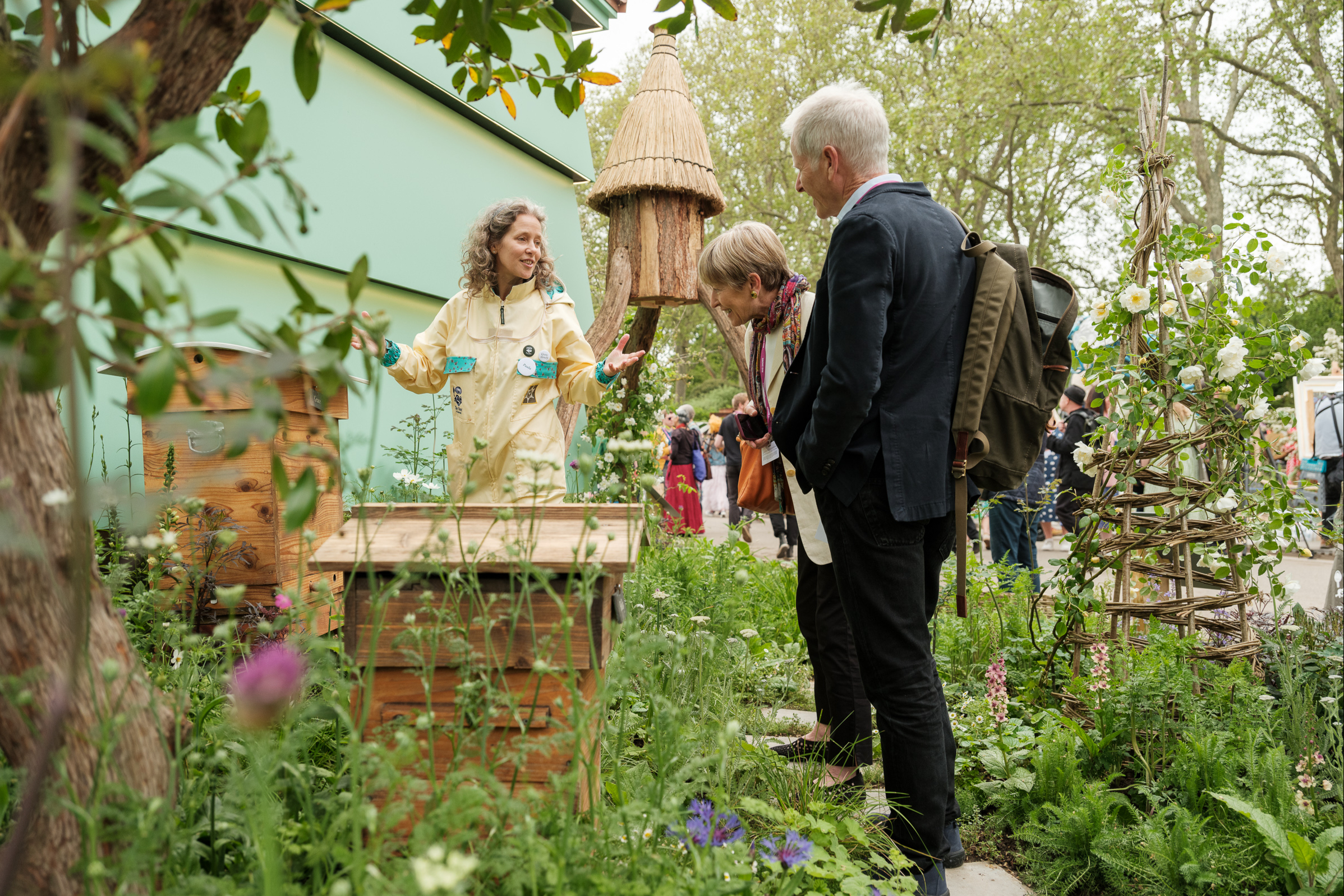 RHS Chelsea Flower Show 2023: how to help save the bees even in the smallest outside space — and why we should